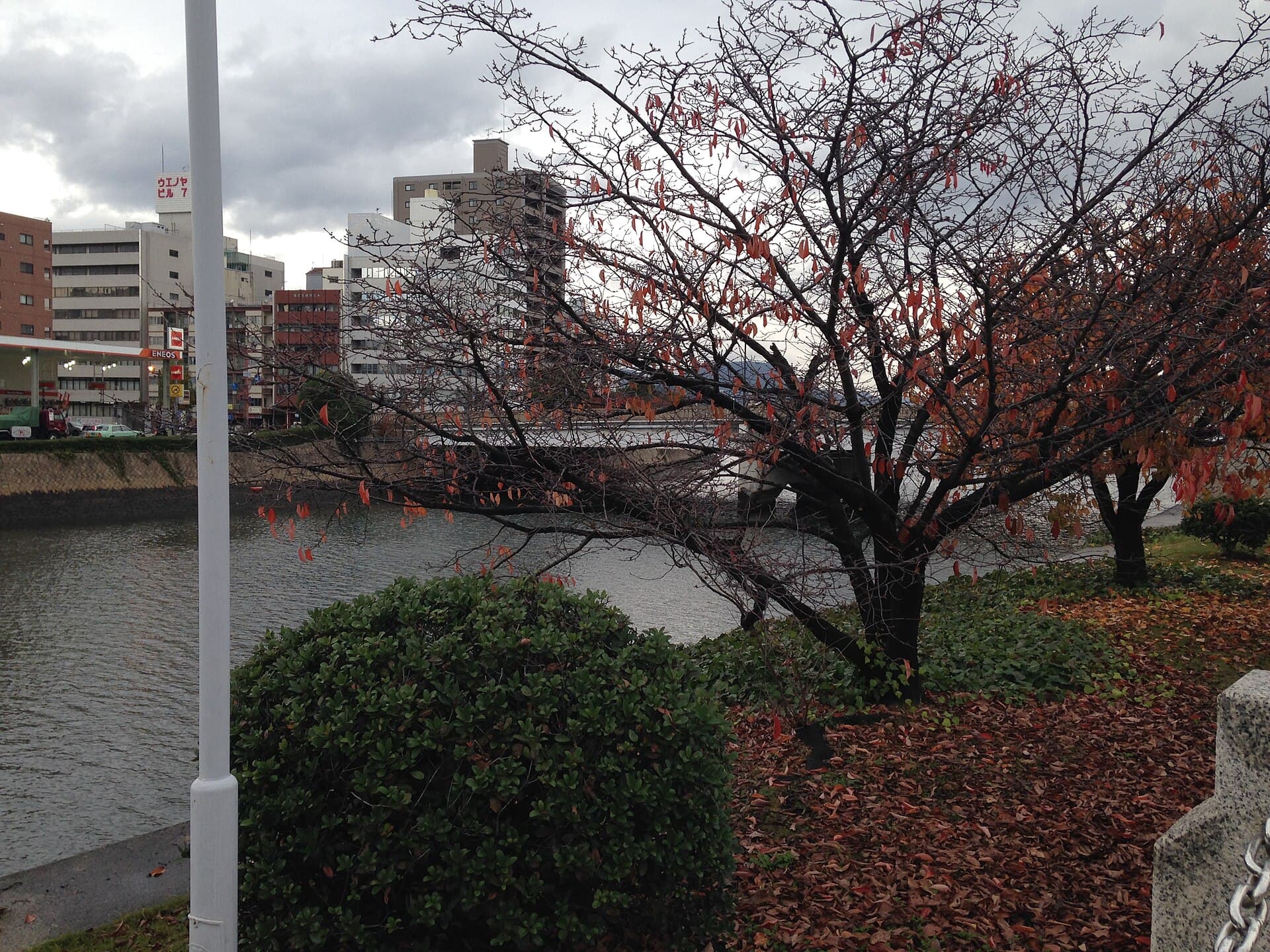 相生桥（广岛）：相生桥（广岛）：Wikimedia Commons 文件「Aioibashi Bridge and Otagawa River.JPG」中的桥梁实景。
