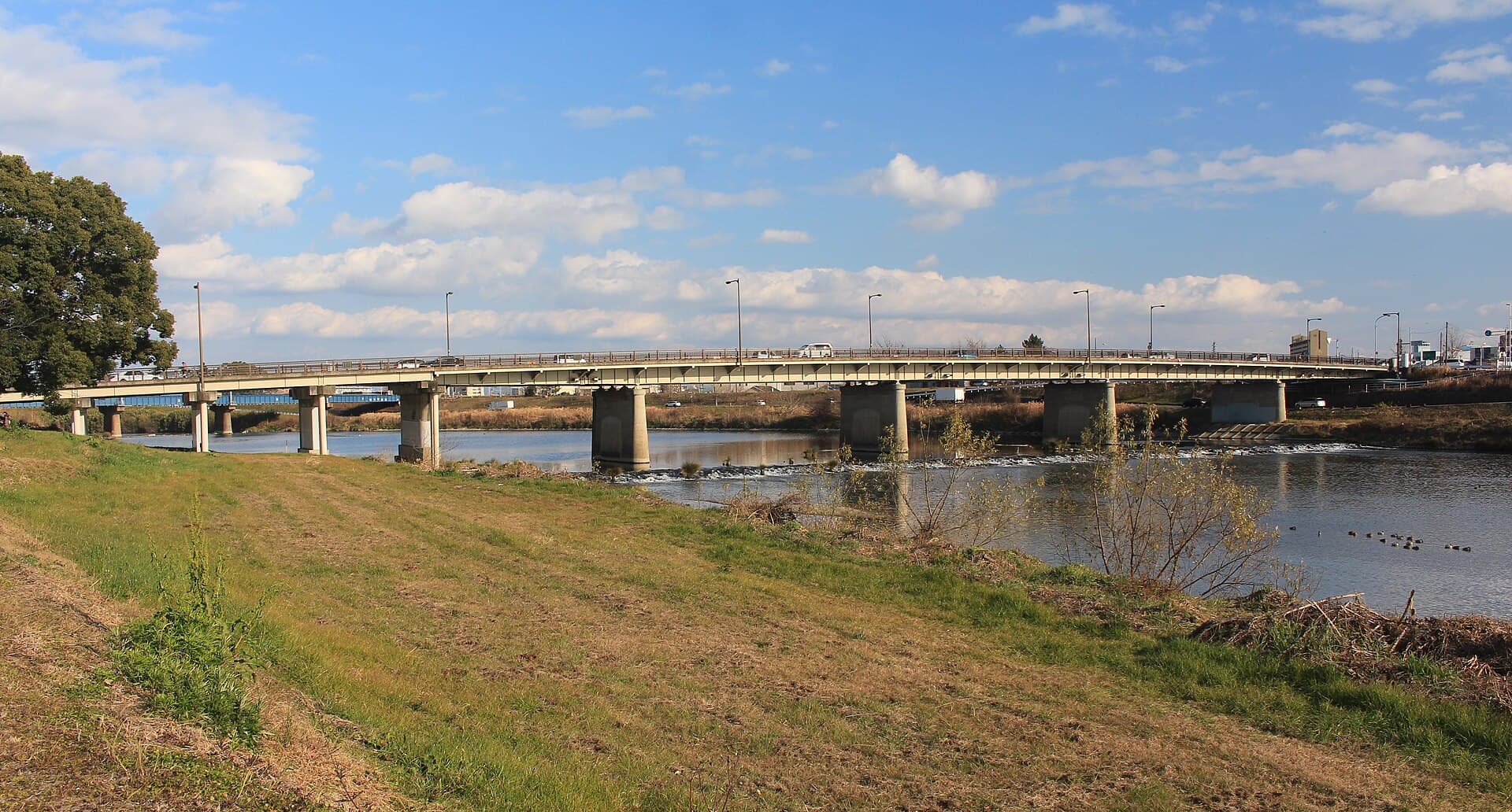 枇杷岛桥：枇杷岛桥：Wikimedia Commons 文件「Biwajima Bridge.JPG」中的桥梁实景。