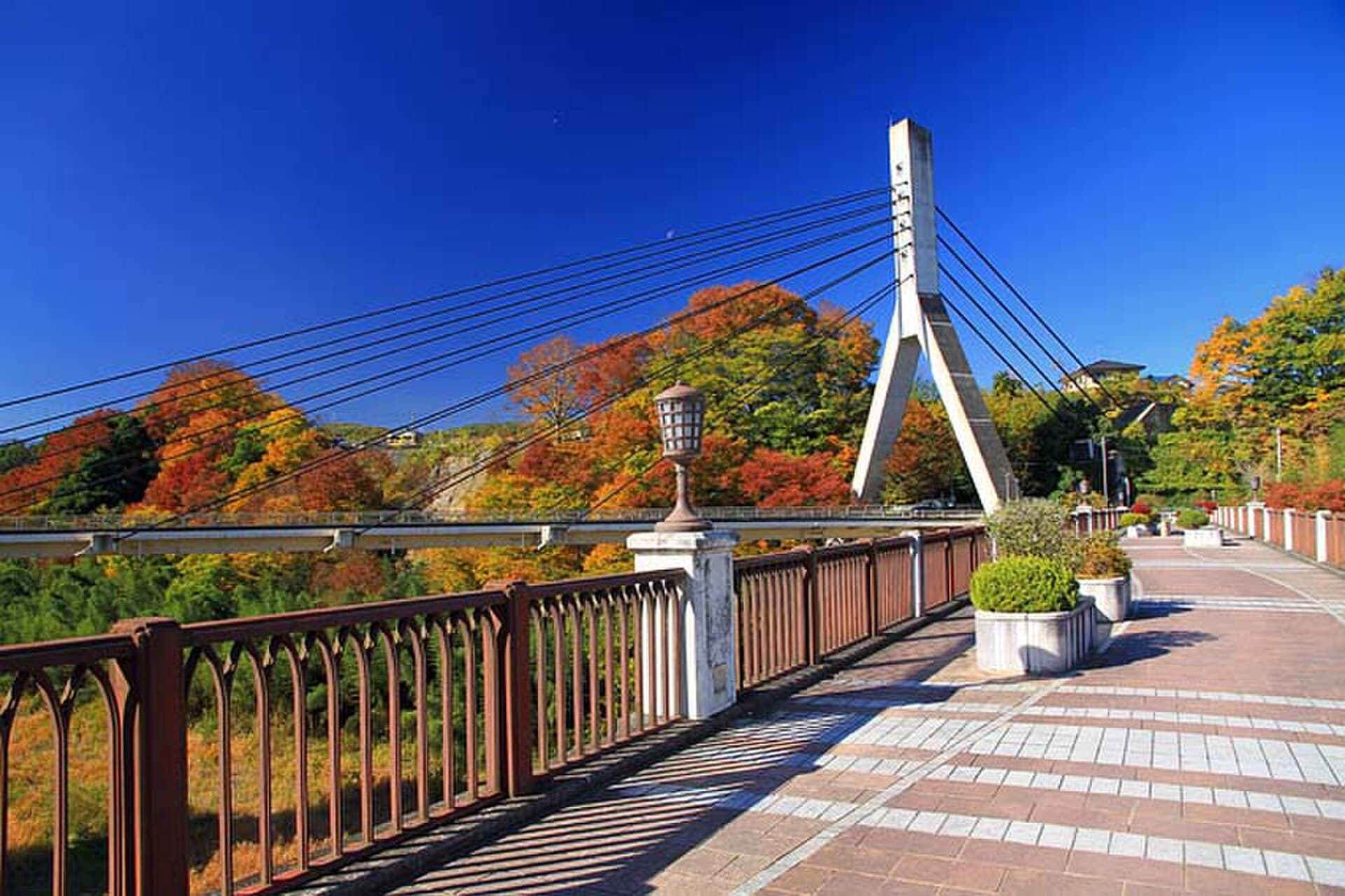 秩父桥群（三代）：秩父桥群（三代）：Wikimedia Commons 文件「Chichibu Titibubasi 1.jpg」中的桥梁实景。