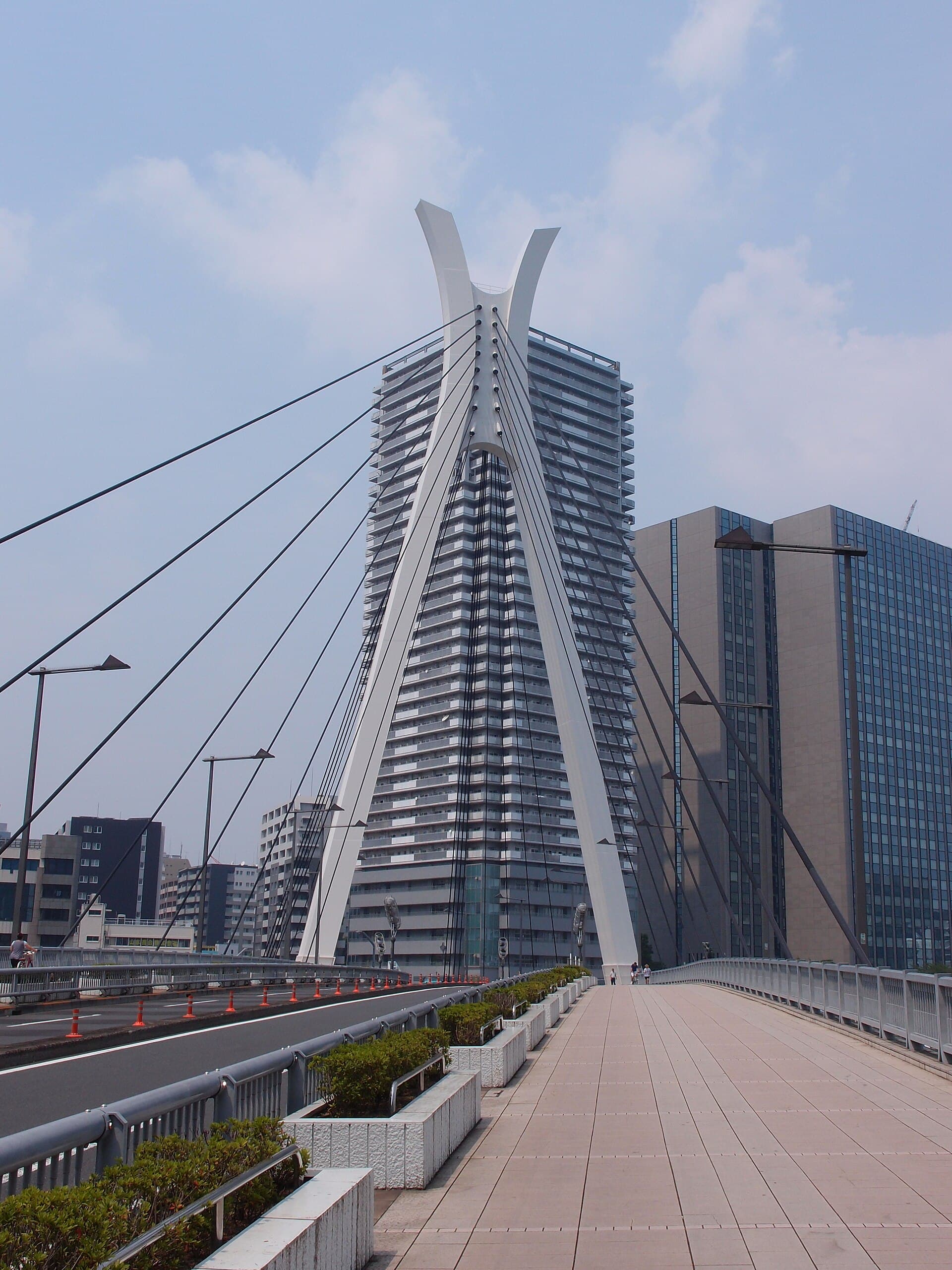 中央大桥：中央大桥：Wikimedia Commons 文件「Chuo Bridge @ Tokyo (9493071350).jpg」中的桥梁实景。