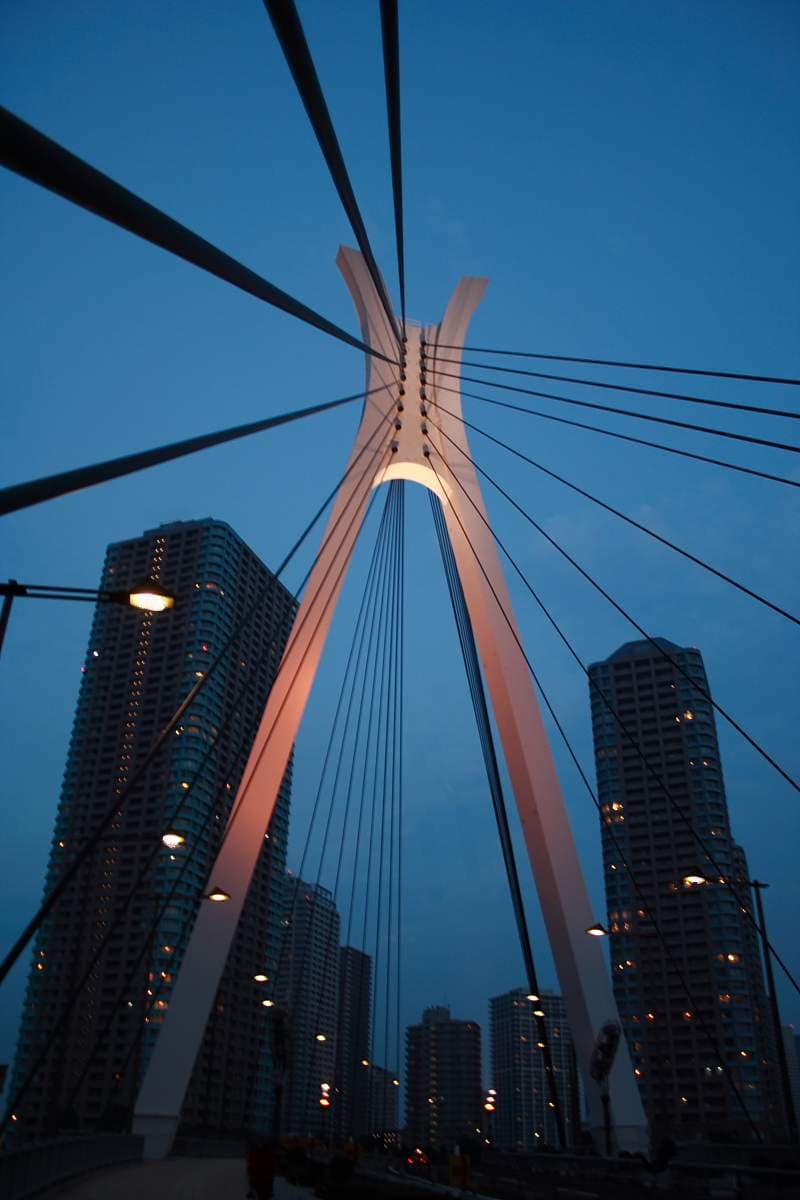 中央大桥：中央大桥：Wikimedia Commons 文件「Chuo-Ohashi.JPG」中的桥梁实景。