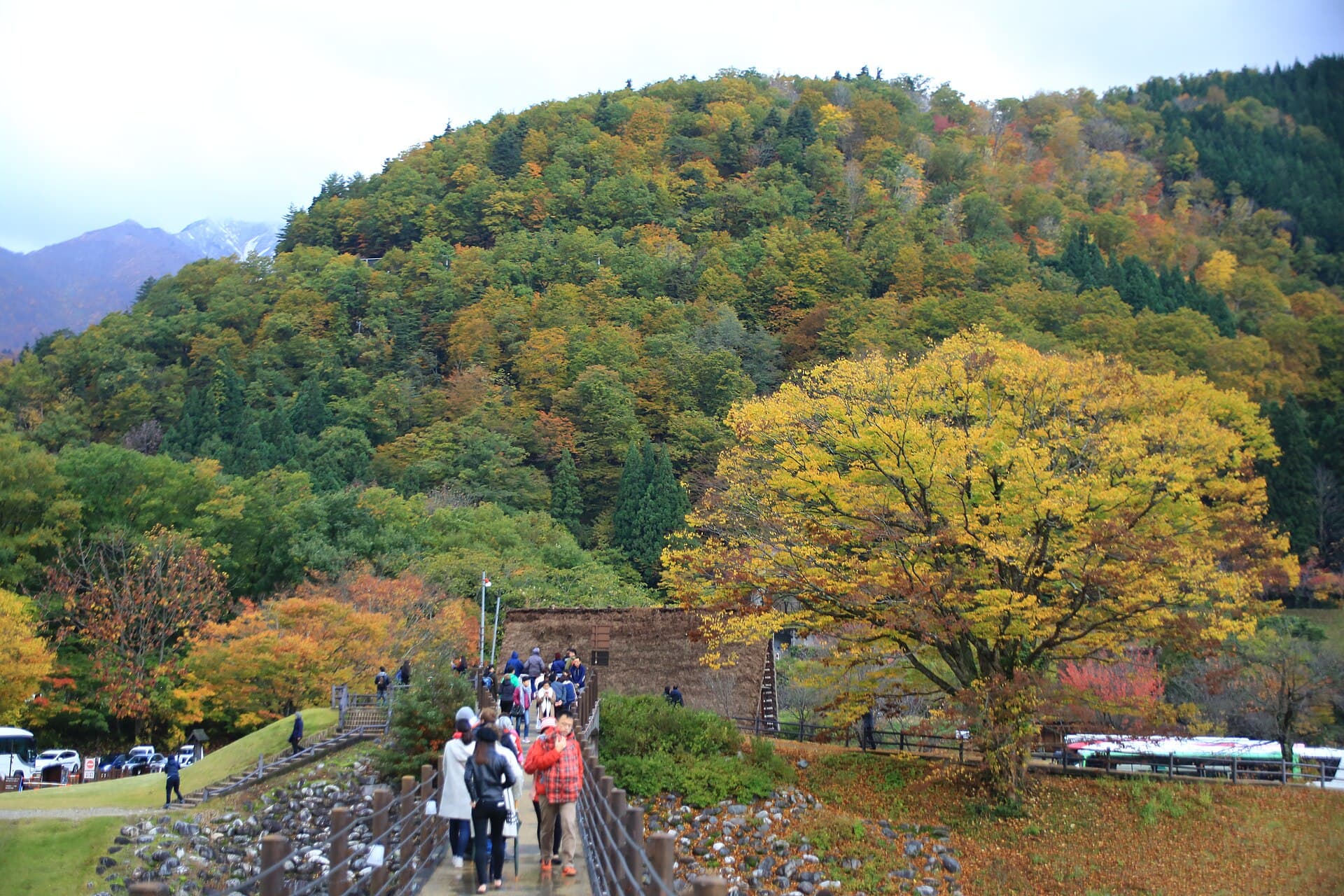 相逢桥：相逢桥：Wikimedia Commons 文件「20171030 Shiragawa 2475 (24270492347).jpg」中的桥梁实景。