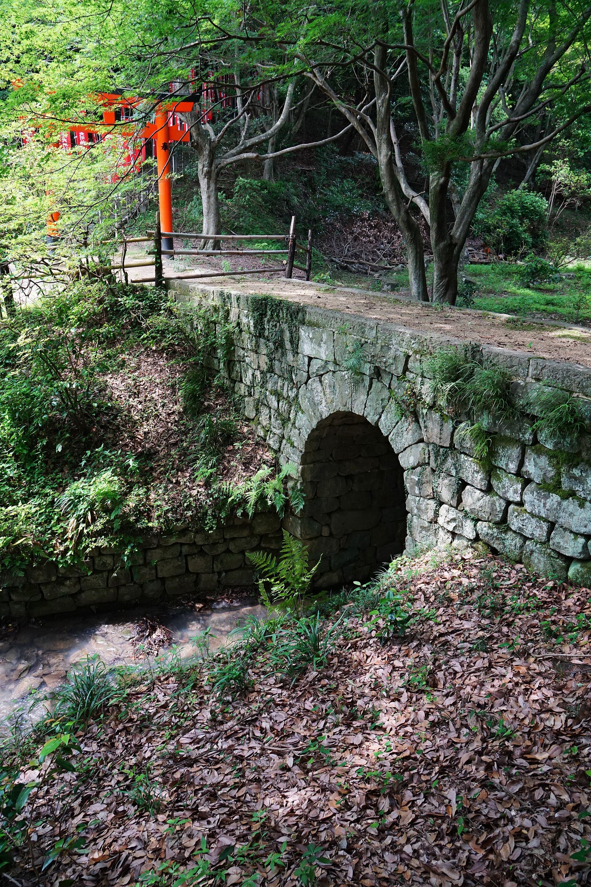 德意志桥：德意志桥：Wikimedia Commons 文件「140712 Oasahiko-jinja Naruto Tokushima pref Japan07s3.jpg」中的桥梁实景。