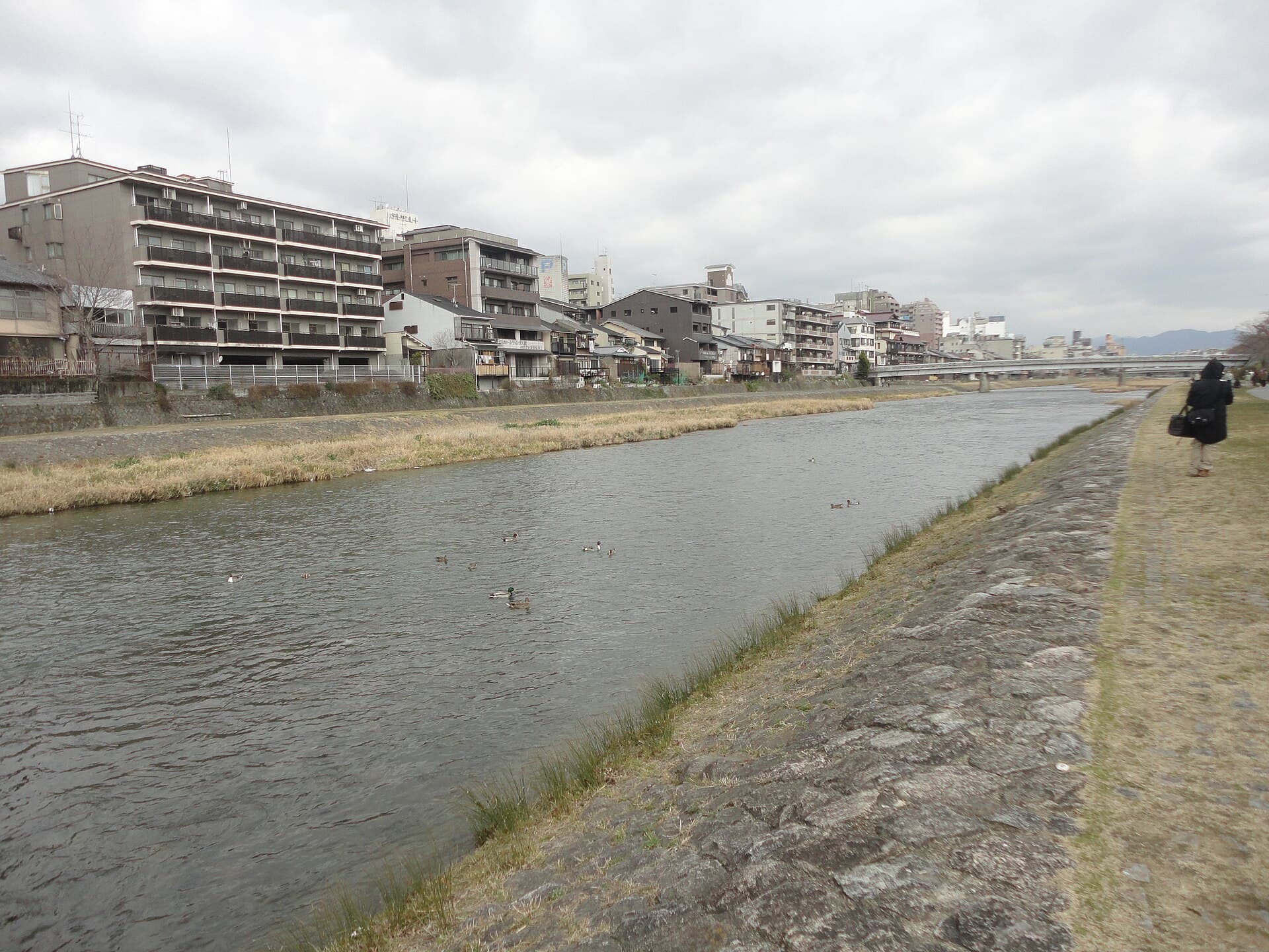 五条大桥（京都）：五条大桥（京都）：Wikimedia Commons 文件「五条大橋 - panoramio (1).jpg」中的桥梁实景。