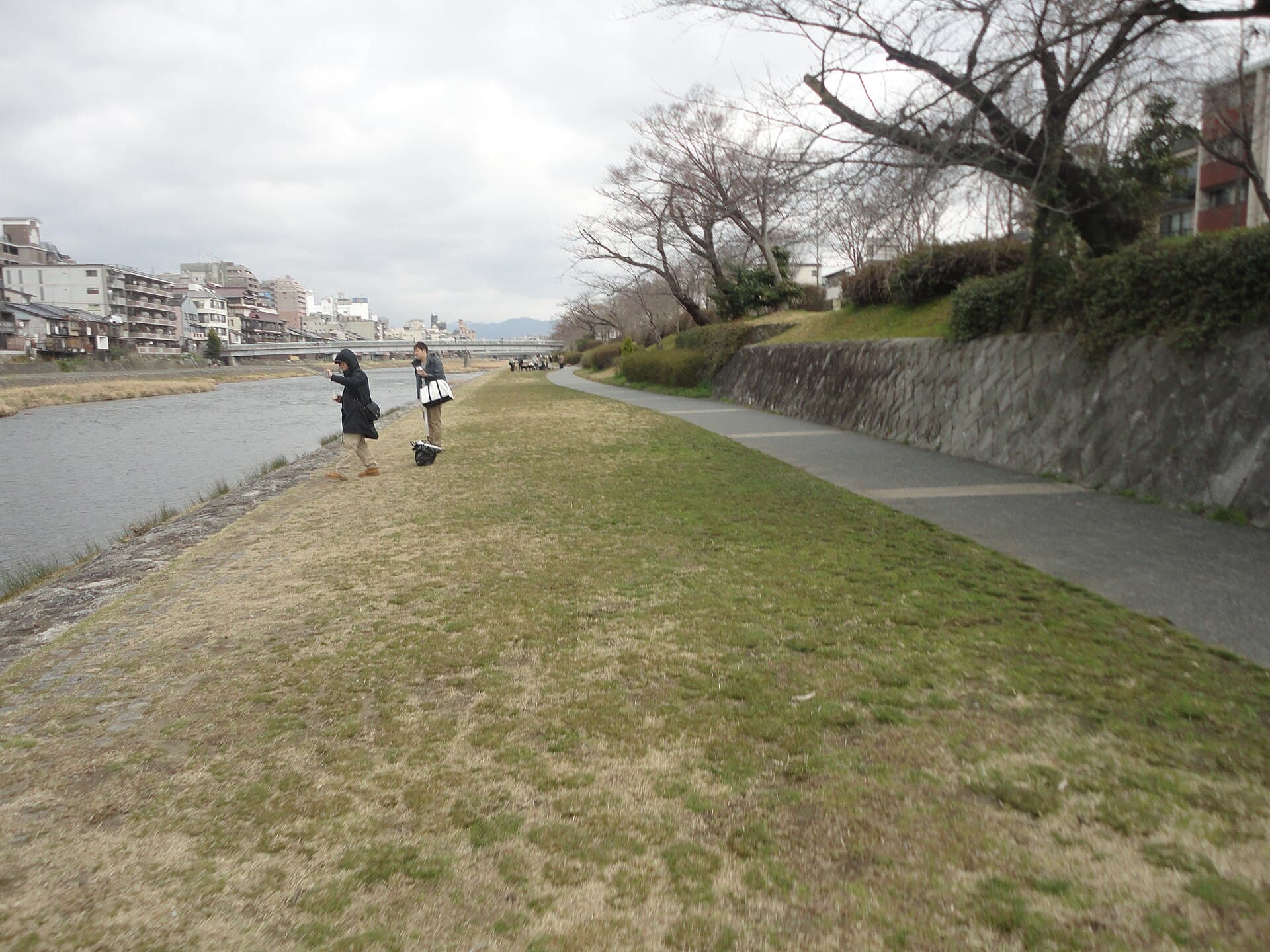 五条大桥（京都）：五条大桥（京都）：Wikimedia Commons 文件「五条大橋 - panoramio (3).jpg」中的桥梁实景。