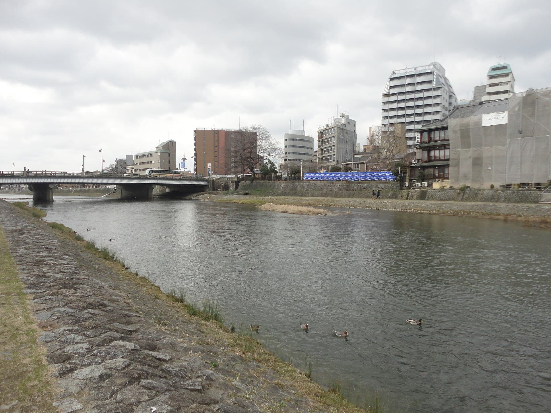 五条大桥（京都）：五条大桥（京都）：Wikimedia Commons 文件「五条大橋 - panoramio (4).jpg」中的桥梁实景。