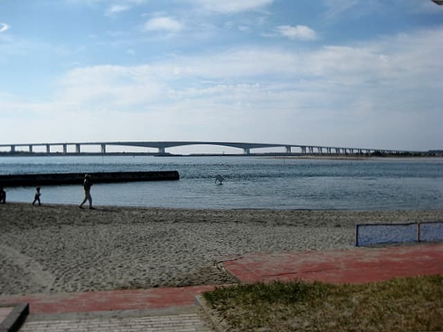 浜名大桥：浜名大桥：Wikimedia Commons 文件「HamanaohashiBentenjima1.jpg」中的桥梁实景。