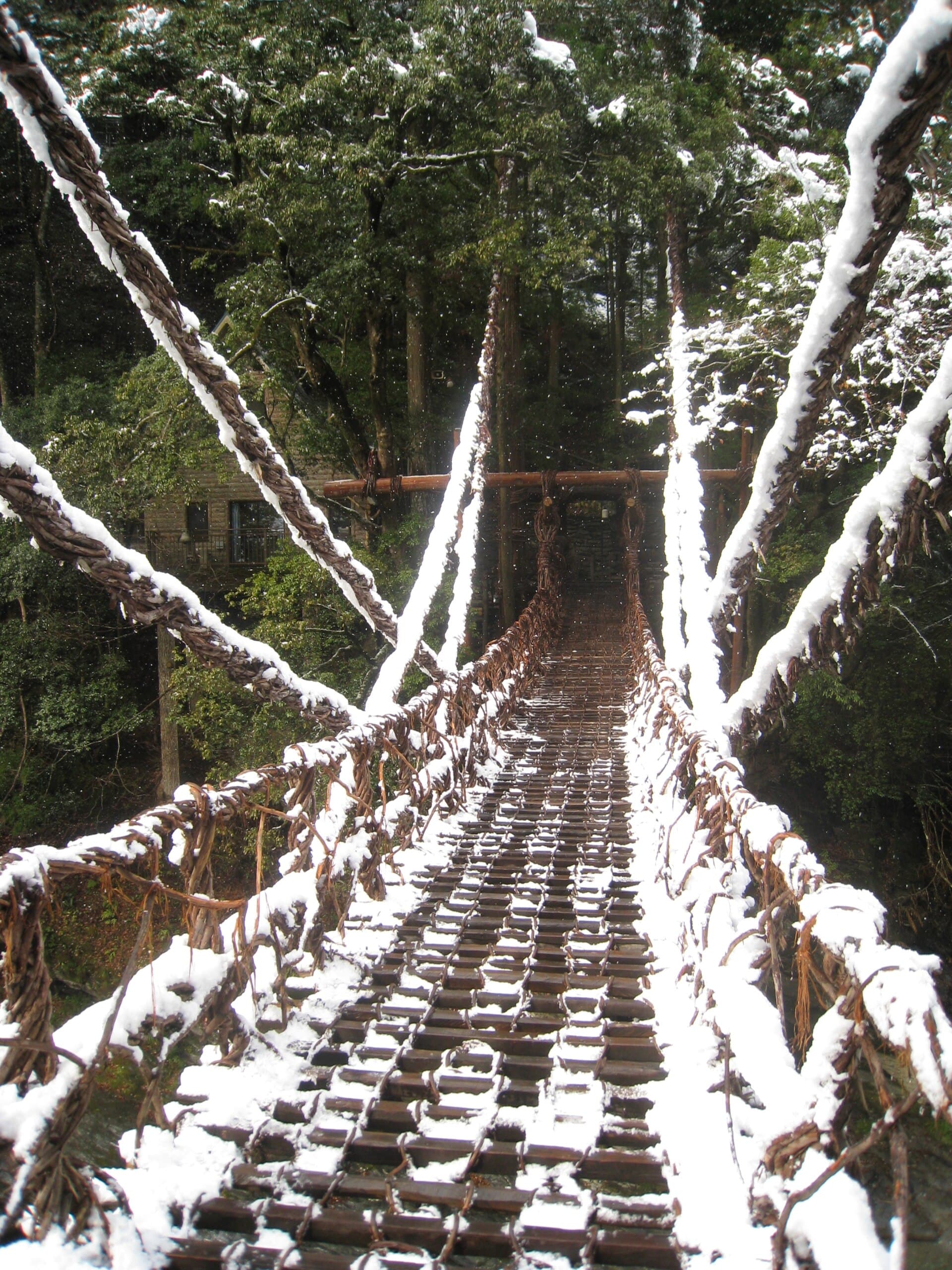 祖谷蔓桥：祖谷蔓桥：Wikimedia Commons 文件「Iya Kazurabashi in snow (2) Dec 17, 2009.jpg」中的桥梁实景。