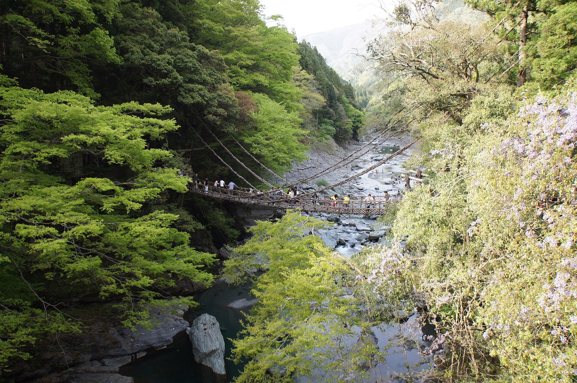 祖谷蔓桥：祖谷蔓桥：Wikimedia Commons 文件「Iya Kazurabashi-1.jpg」中的桥梁实景。