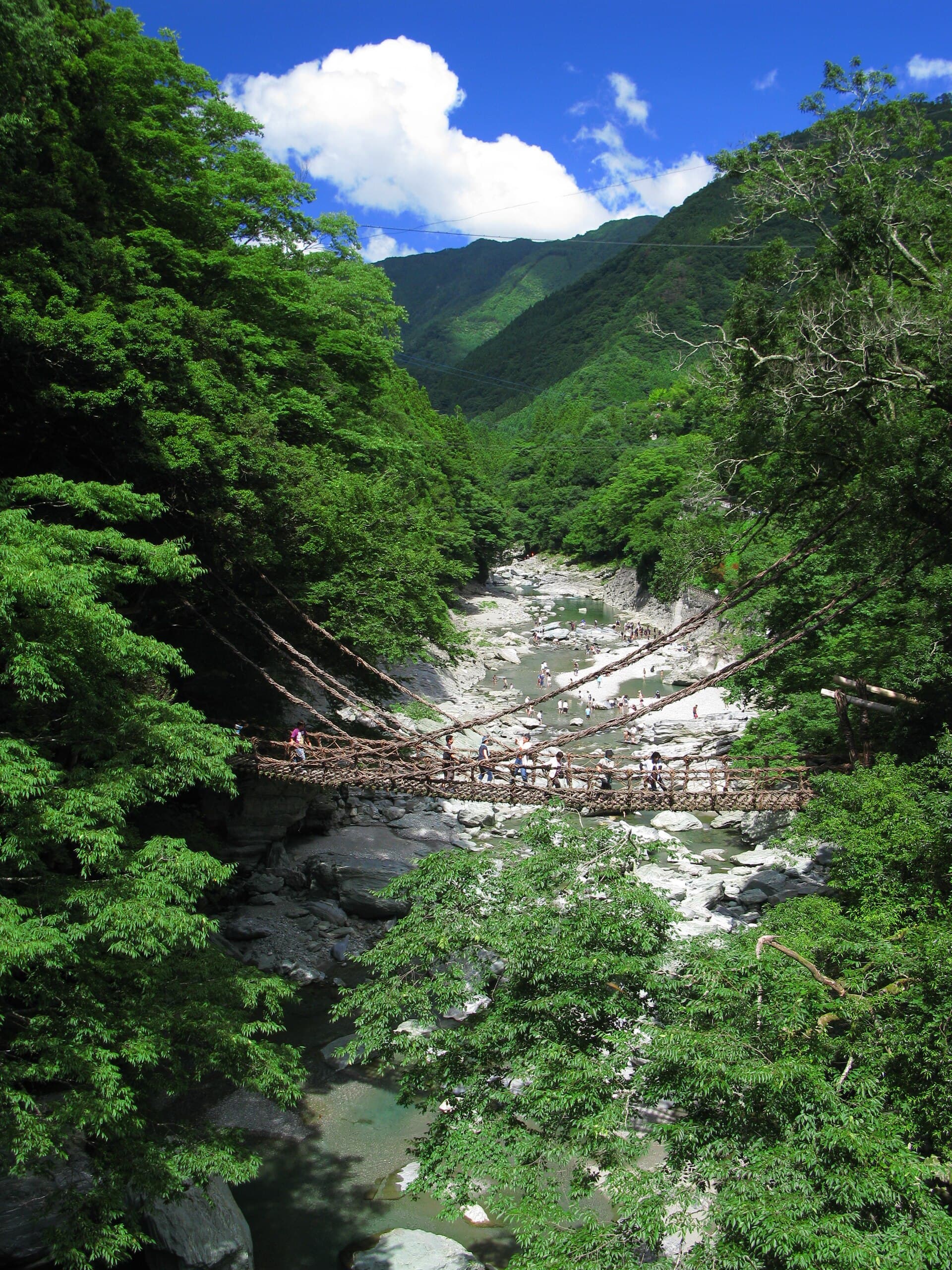 祖谷蔓桥：祖谷蔓桥：Wikimedia Commons 文件「Tokushima Miyoshi Iyanokazurabashi 1.jpg」中的桥梁实景。