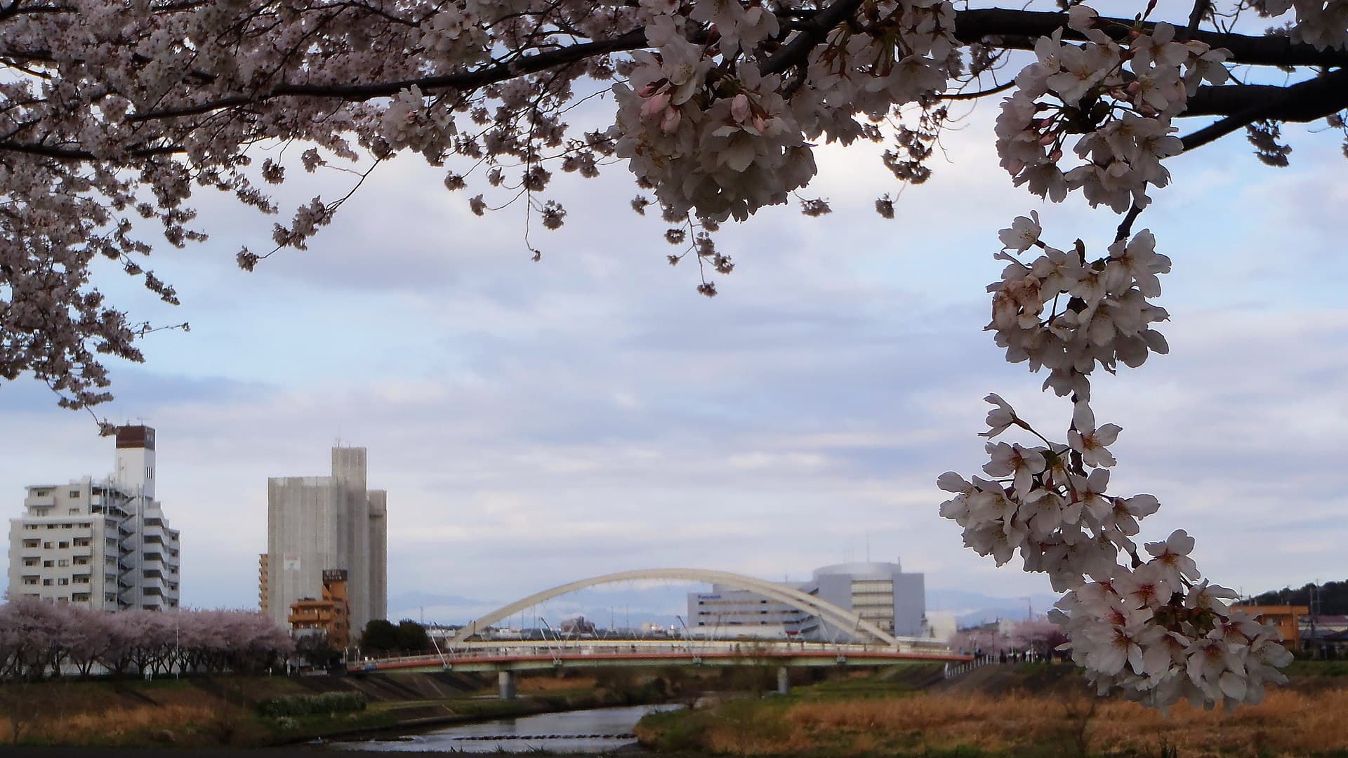 鴨池大桥：鴨池大桥：Wikimedia Commons 文件「Kamoike oohashi9.jpg」中的桥梁实景。