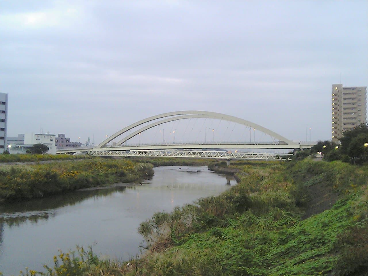 鴨池大桥：鴨池大桥：Wikimedia Commons 文件「Kamoike oohashi1.jpg」中的桥梁实景。