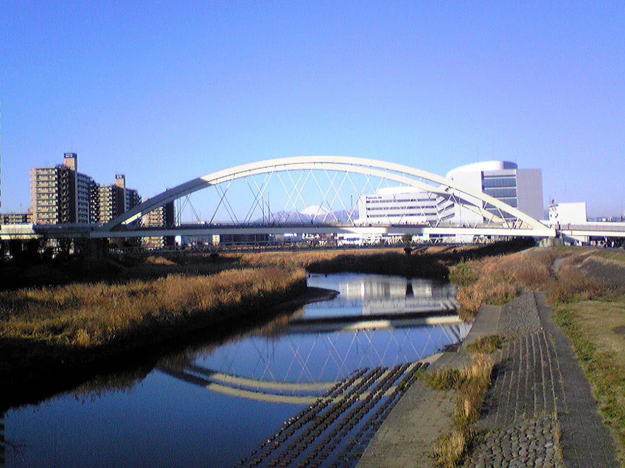 鴨池大桥：鴨池大桥：Wikimedia Commons 文件「Kamoike oohashi3.jpg」中的桥梁实景。