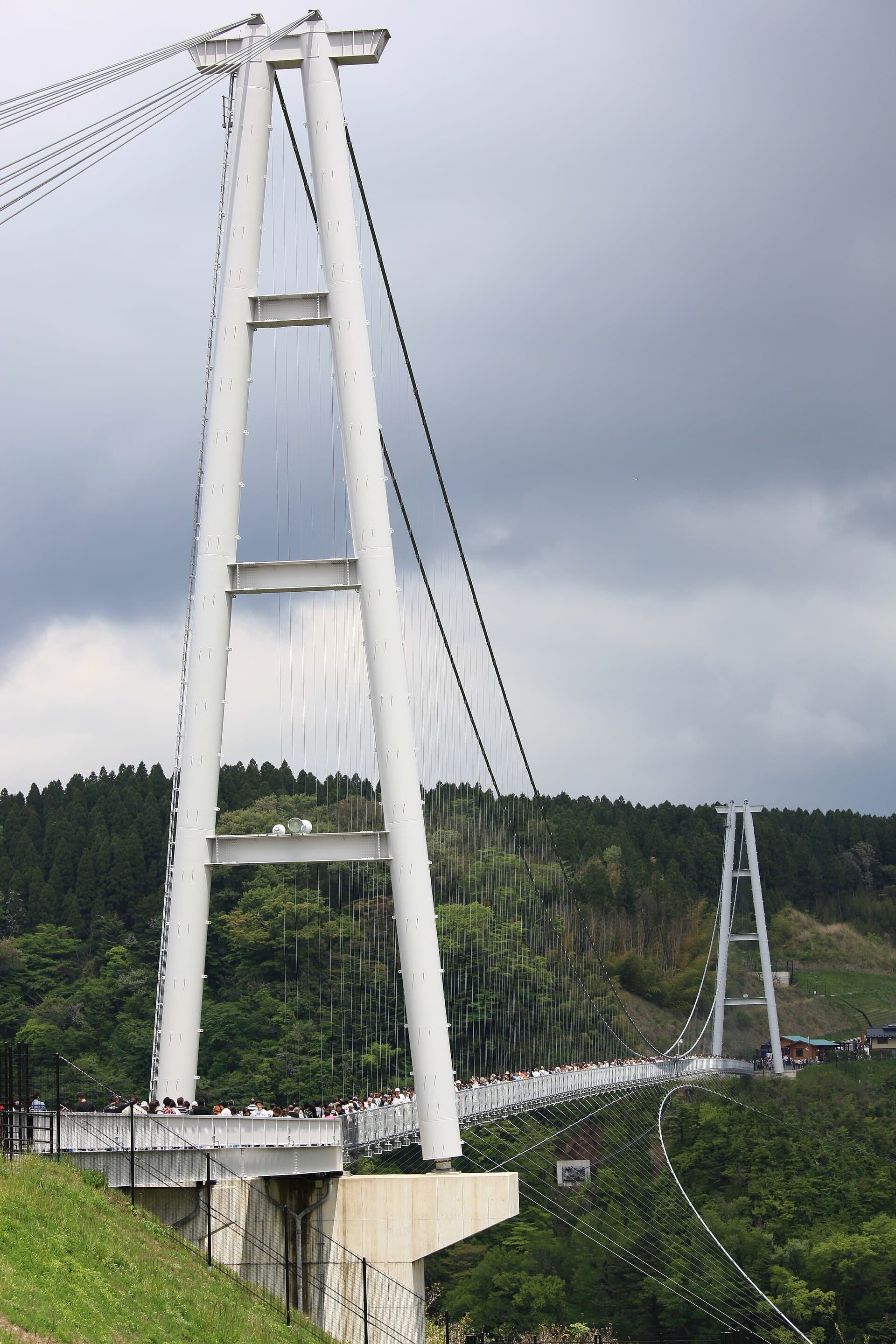 九重“梦”大吊桥：九重“梦”大吊桥：Wikimedia Commons 文件「Kokonoe Kuju Yume Suspension Bridge2.jpg」中的桥梁实景。