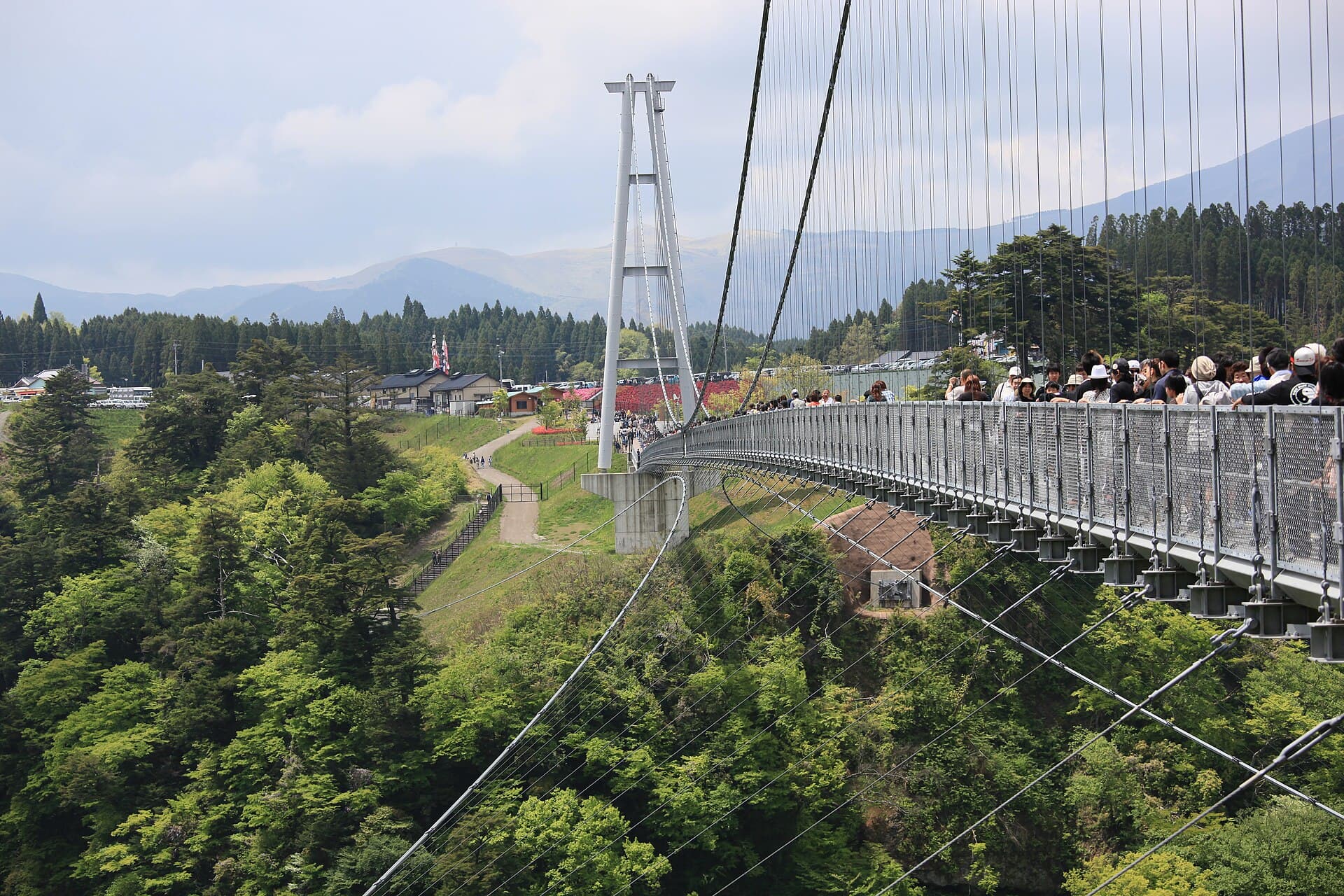 九重“梦”大吊桥：九重“梦”大吊桥：Wikimedia Commons 文件「Kokonoe Kuju Yume Suspension Bridge3.jpg」中的桥梁实景。
