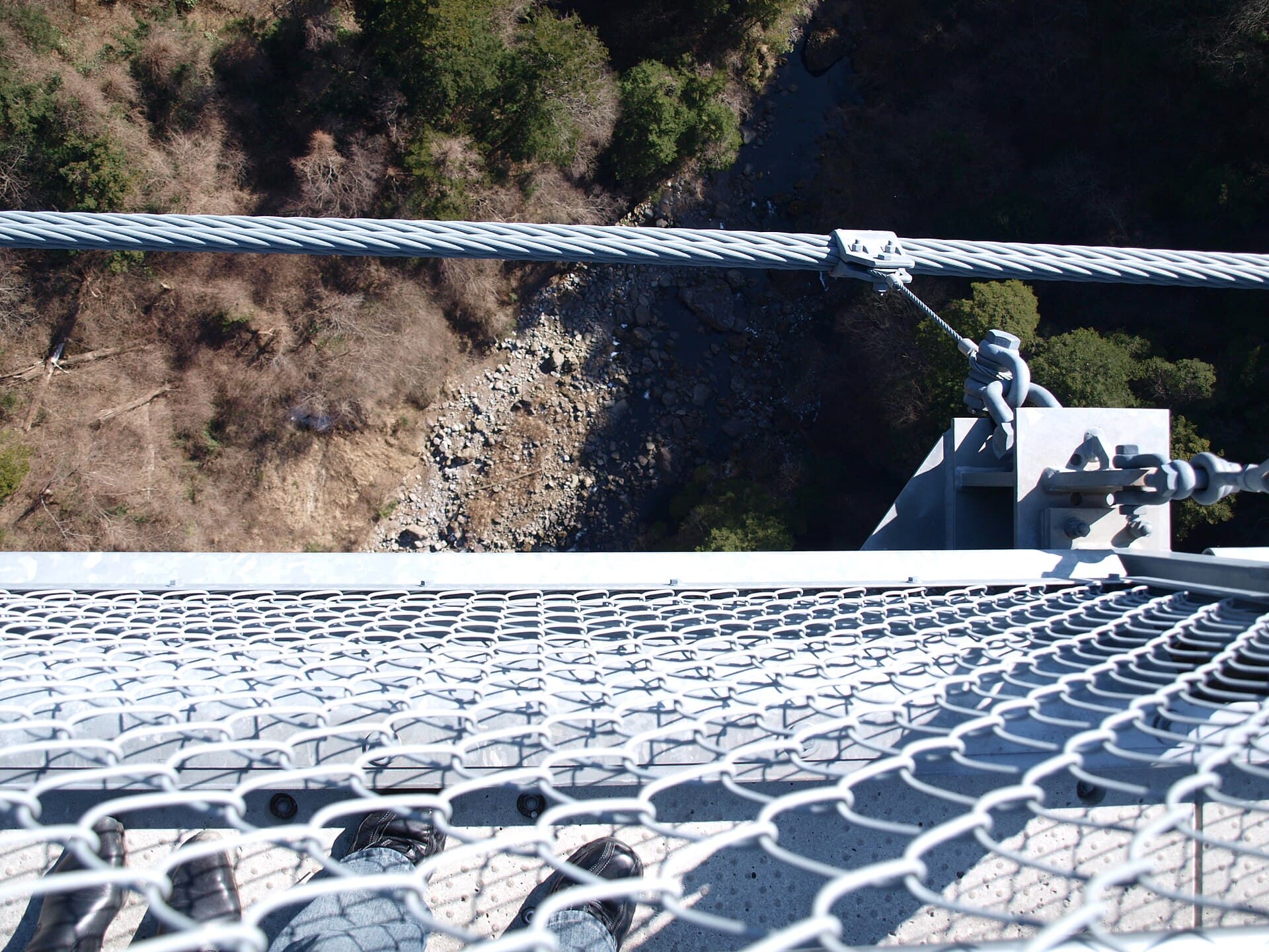 九重“梦”大吊桥：九重“梦”大吊桥：Wikimedia Commons 文件「Kokonoe Yume Suspension Bridge 1043887.jpg」中的桥梁实景。