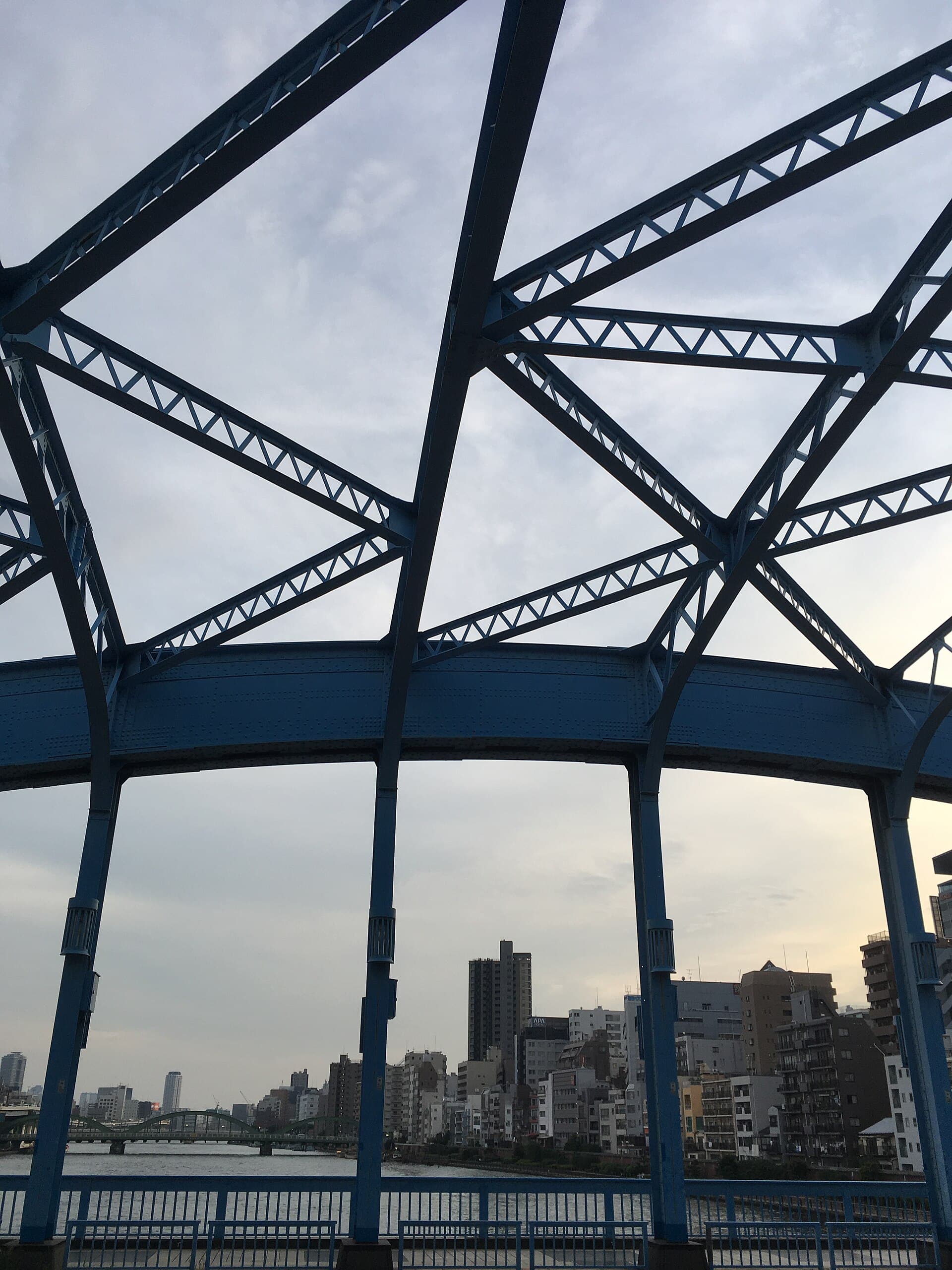 駒形桥：駒形桥：Wikimedia Commons 文件「Uitzicht vanaf de Komagata-brug, -25 augustus 2017 a.jpg」中的桥梁实景。
