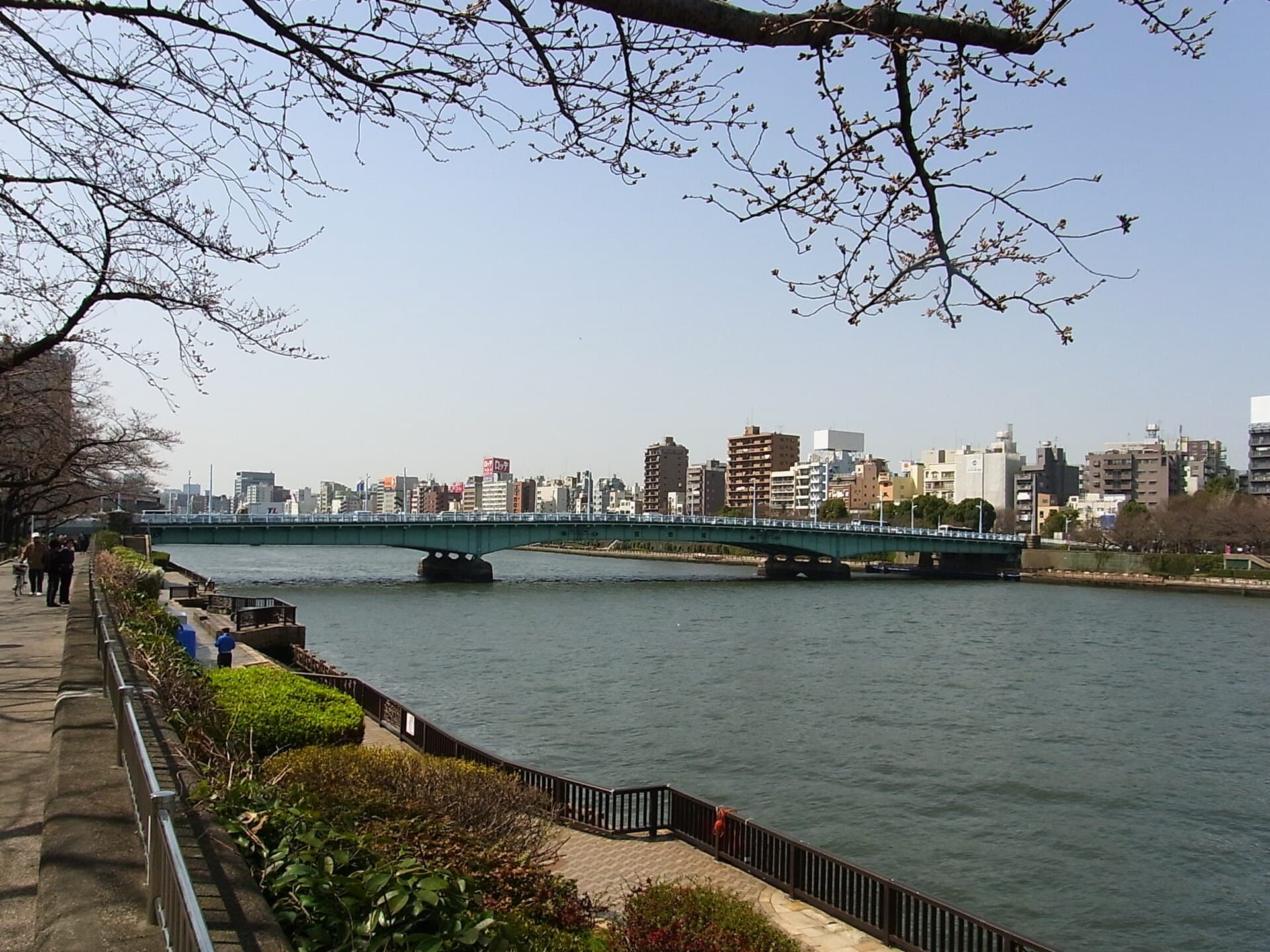 言问桥：言问桥：Wikimedia Commons 文件「Kototoi Bridge1.jpg」中的桥梁实景。