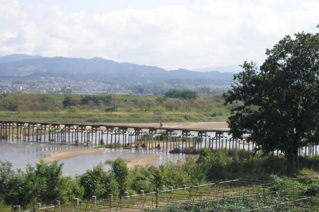上津屋桥（流桥）：上津屋桥（流桥）：Wikimedia Commons 文件「Nagarebashi-02.jpg」中的桥梁实景。