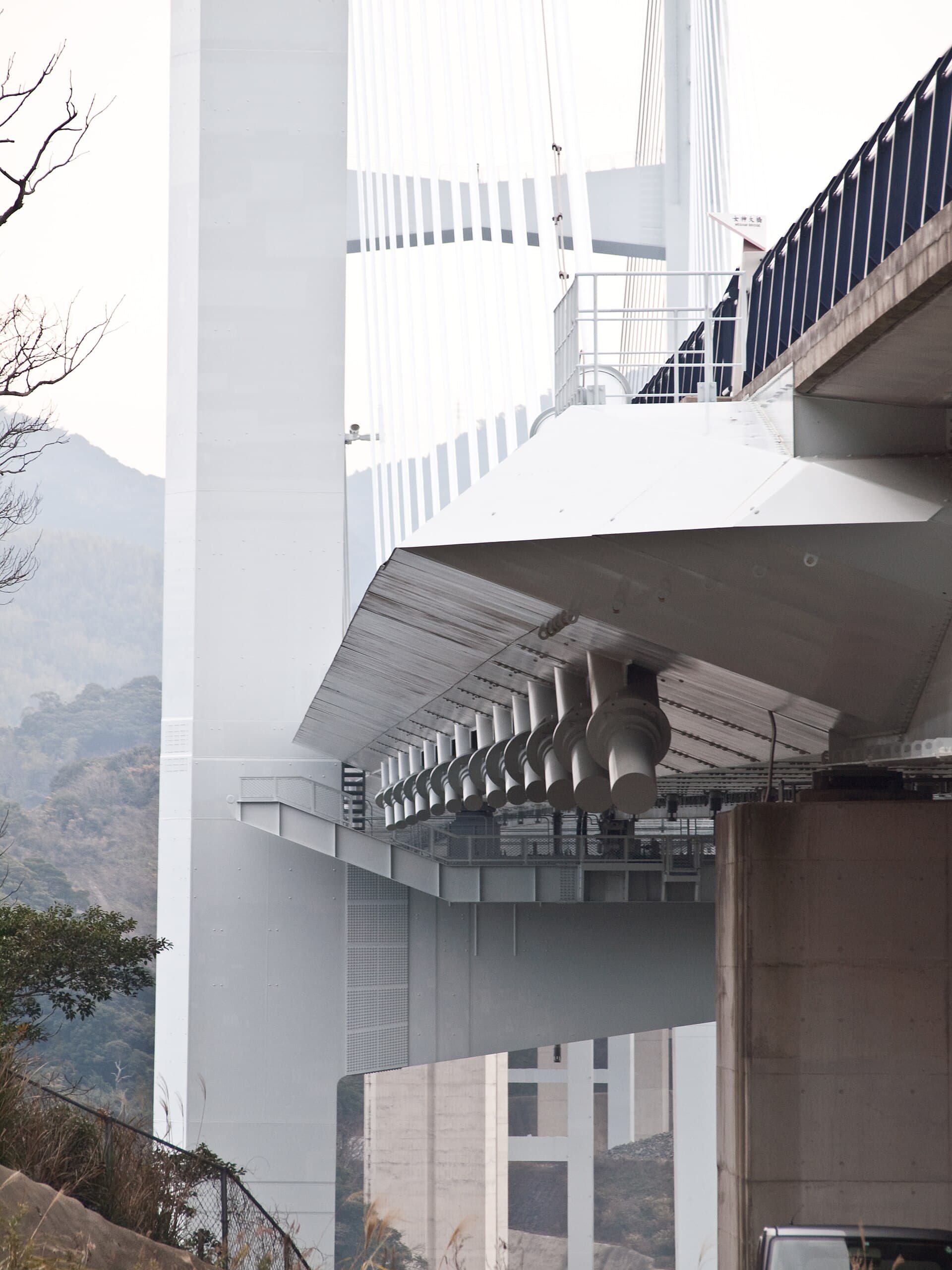 女神大桥：女神大桥：Wikimedia Commons 文件「Megami Bridge 1020726.jpg」中的桥梁实景。