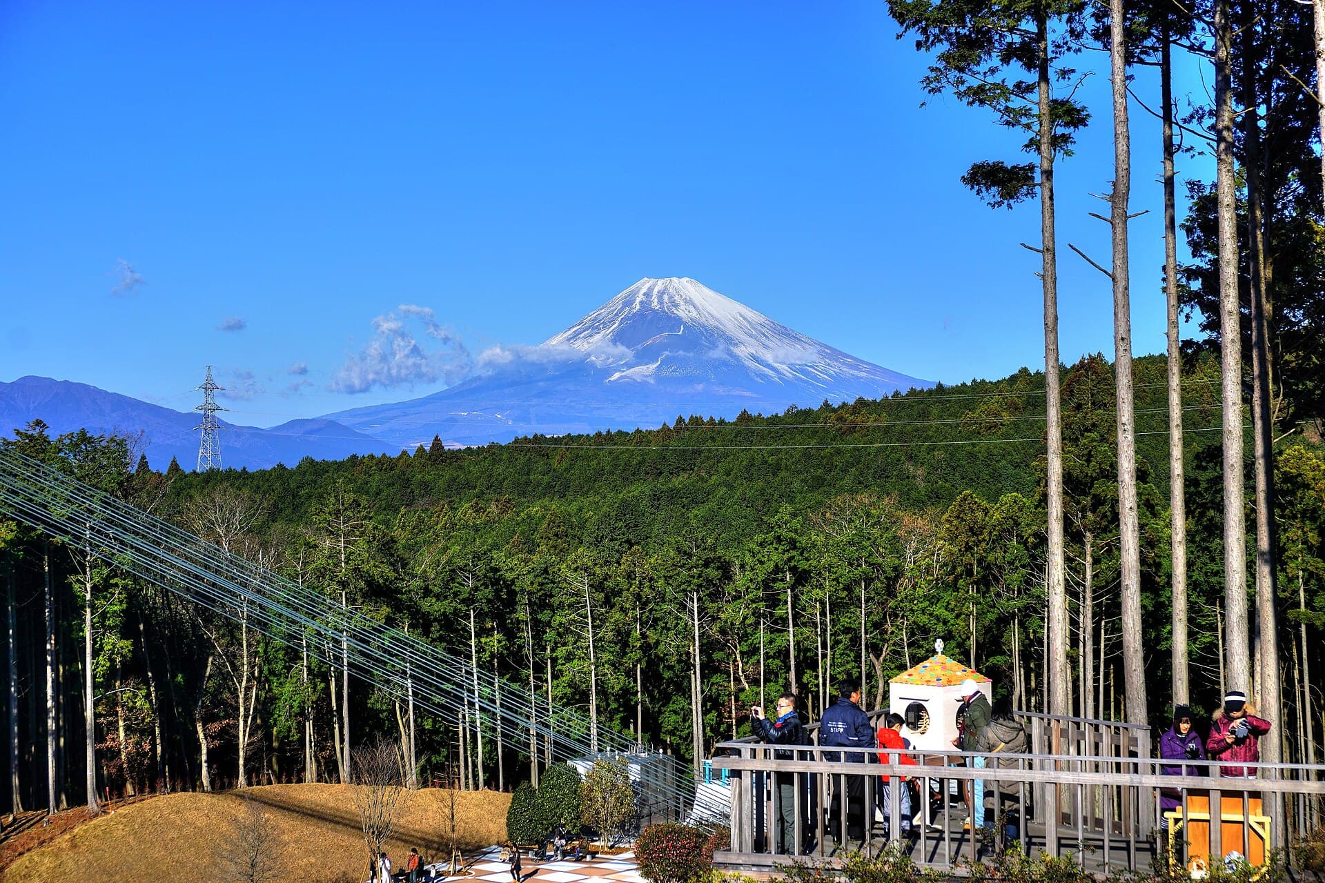 三岛大吊桥：三岛大吊桥：Wikimedia Commons 文件「三島スカイウォーク - panoramio (3).jpg」中的桥梁实景。