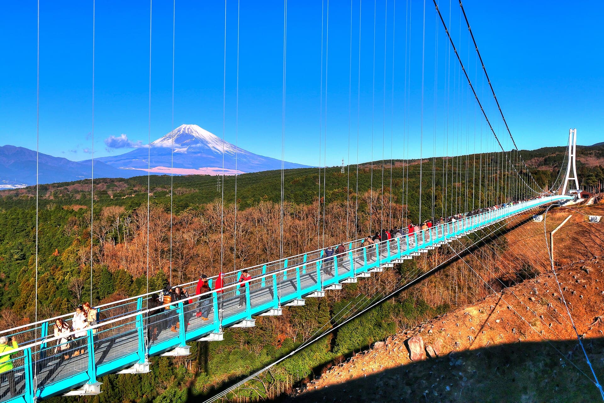 三岛大吊桥：三岛大吊桥：Wikimedia Commons 文件「三島スカイウォーク - panoramio (4).jpg」中的桥梁实景。