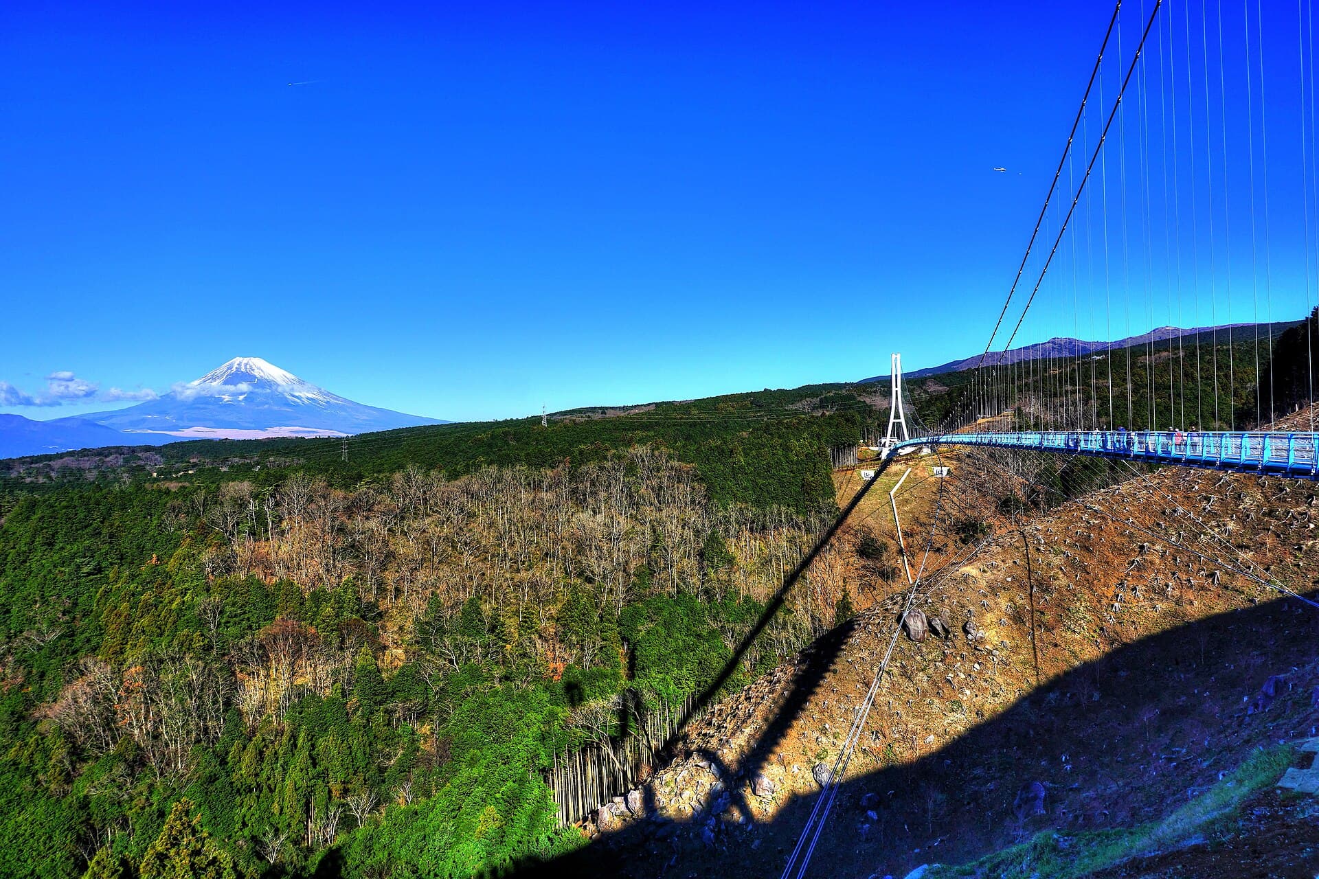 三岛大吊桥：三岛大吊桥：Wikimedia Commons 文件「Mishima sky walk.jpg」中的桥梁实景。