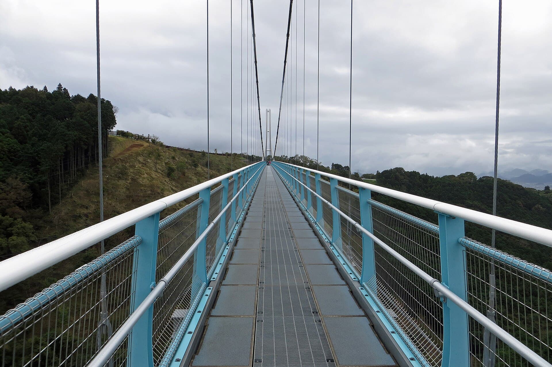 三岛大吊桥：三岛大吊桥：Wikimedia Commons 文件「Mishima Skywalk (51588442430).jpg」中的桥梁实景。