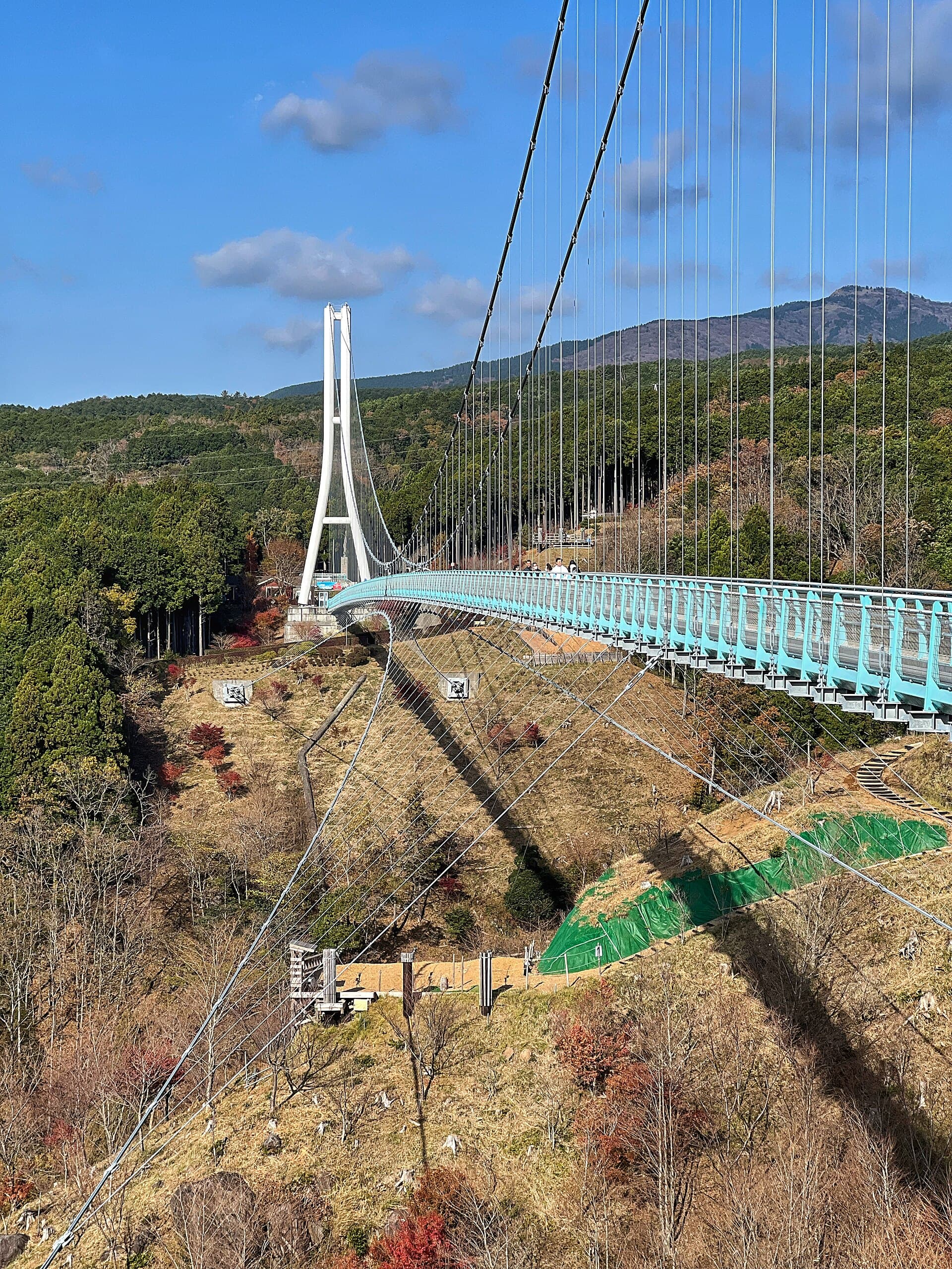 三岛大吊桥：三岛大吊桥：Wikimedia Commons 文件「Mishima Skywalk South Facade2023.jpg」中的桥梁实景。