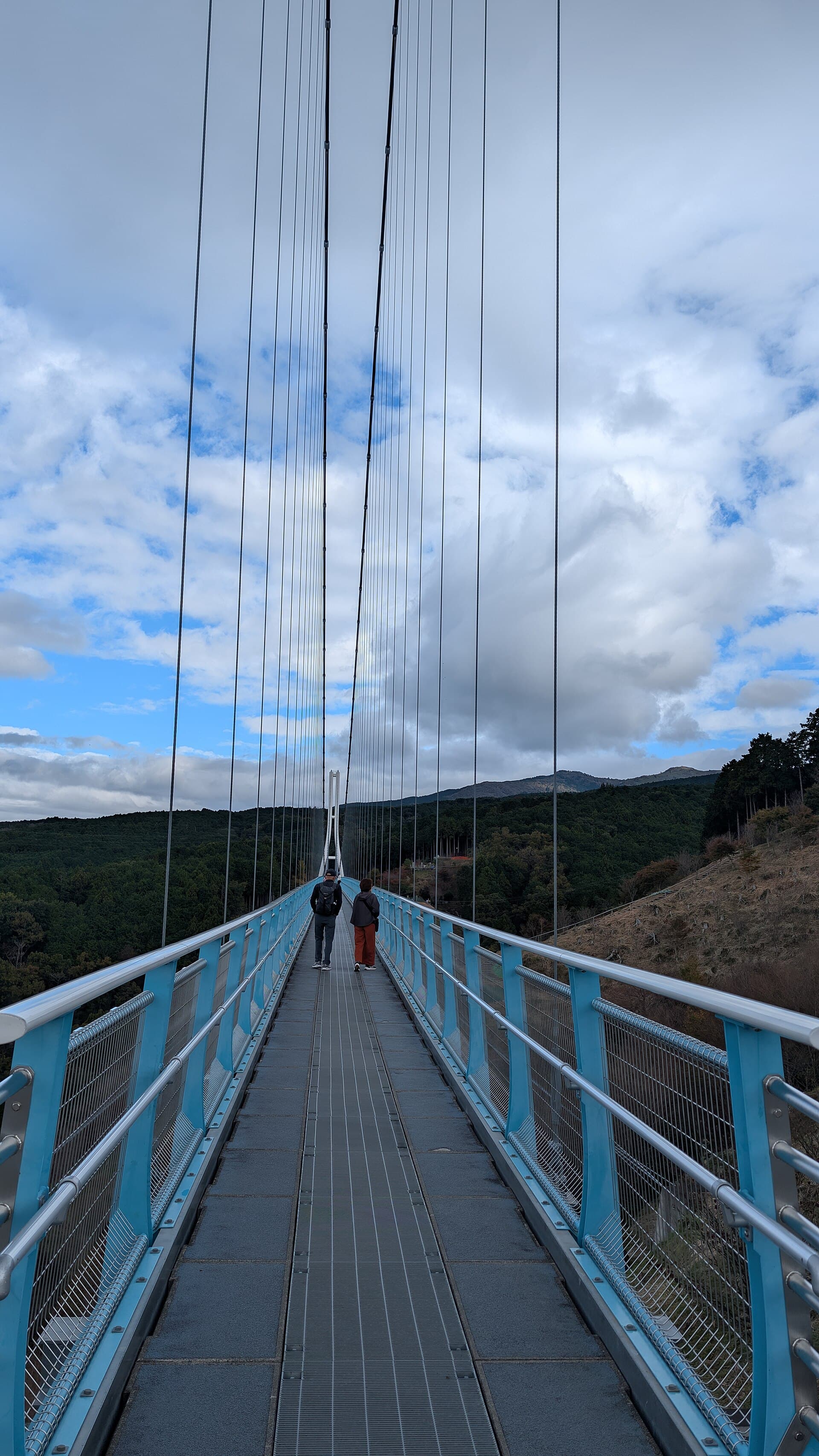 三岛大吊桥：三岛大吊桥：Wikimedia Commons 文件「Mishima skywalk, Japan's longest suspension bridge, Shizuoka Prefecture, Japan.jpg」中的桥梁实景。