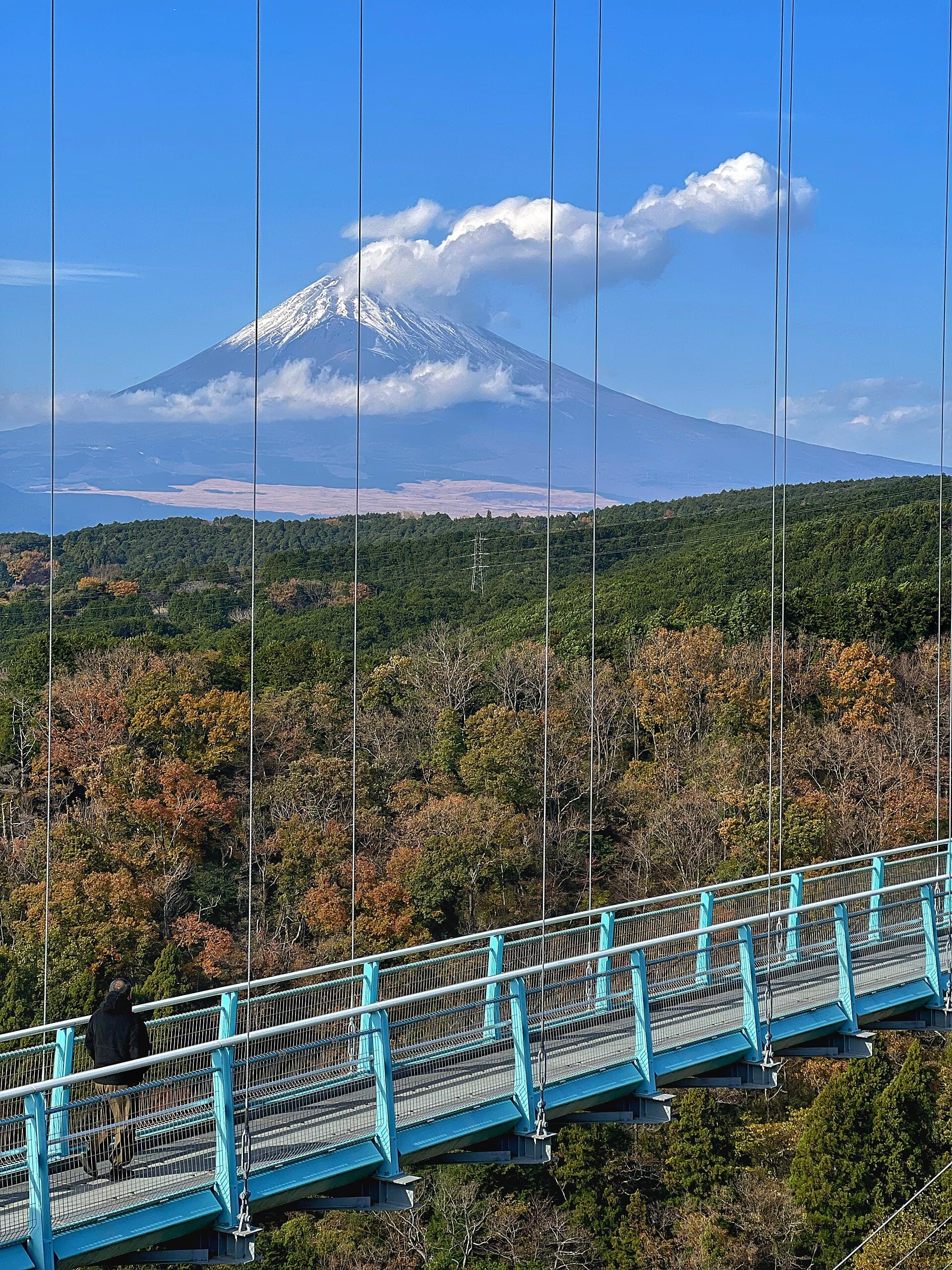 三岛大吊桥：三岛大吊桥：Wikimedia Commons 文件「Mount Fuji From Mishima Skywalk2023.jpg」中的桥梁实景，画面包含桥面和吊索。