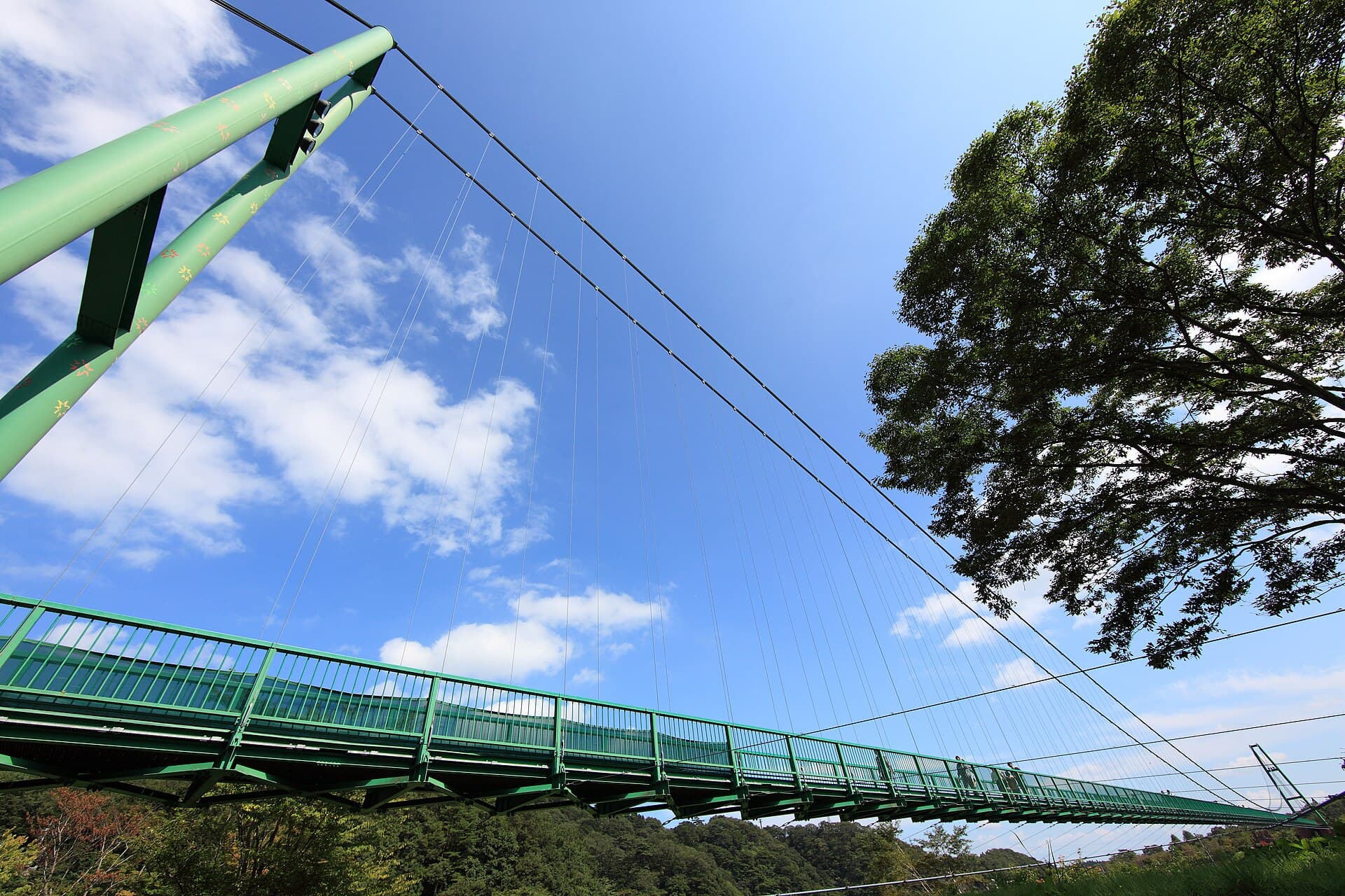 红叶谷大吊桥：红叶谷大吊桥：Wikimedia Commons 文件「Momijidani Suspension Bridge 6.jpg」中的桥梁实景。