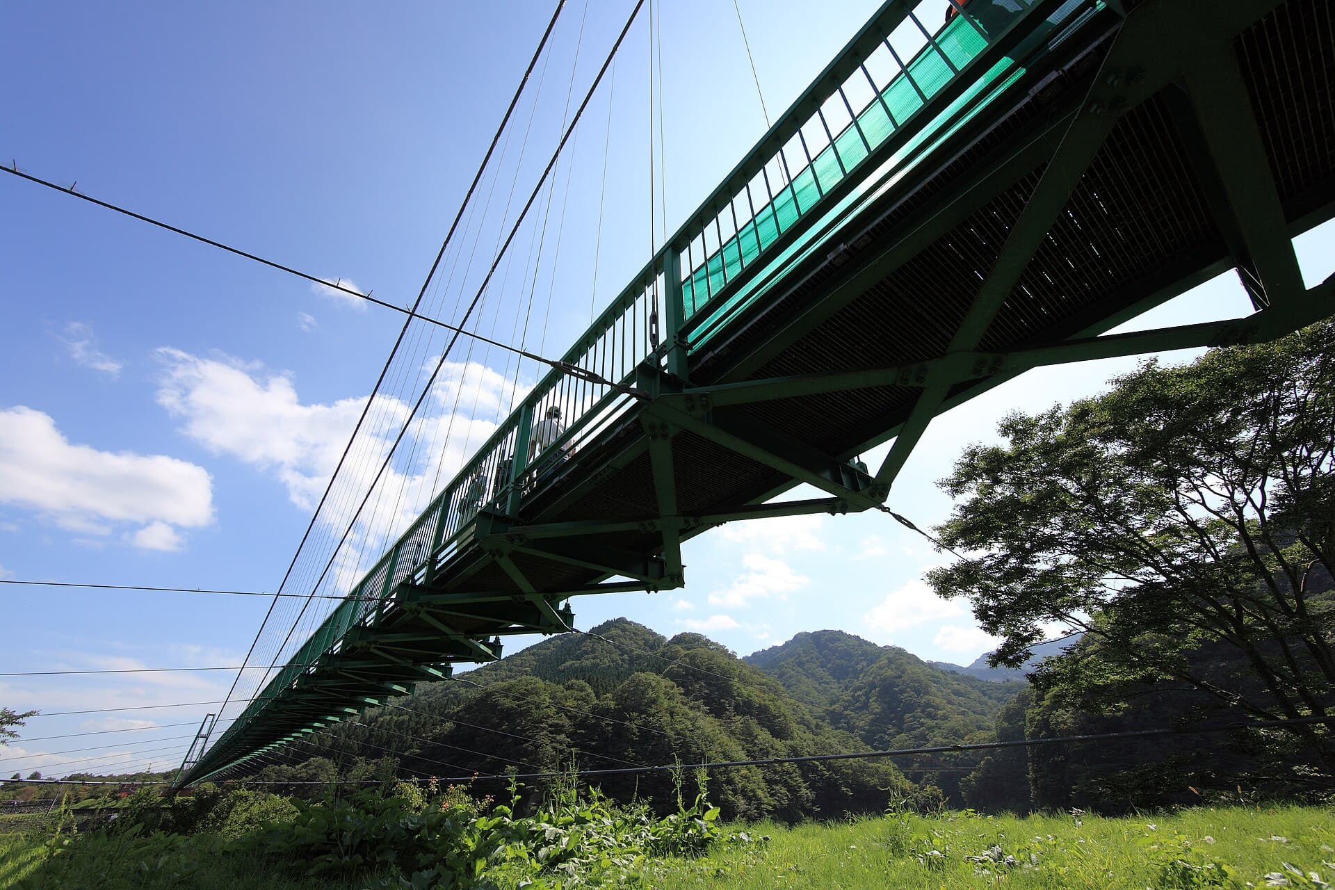 红叶谷大吊桥：红叶谷大吊桥：Wikimedia Commons 文件「Momijidani Suspension Bridge 3.jpg」中的桥梁实景。