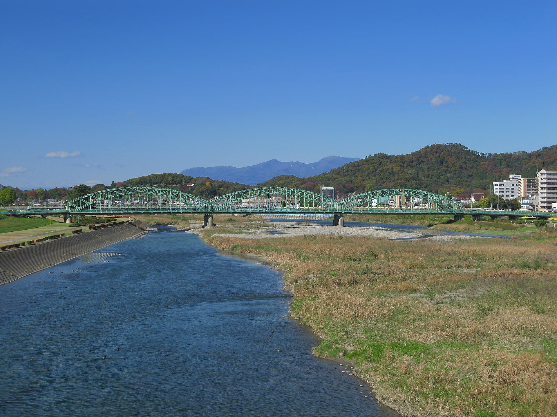 中桥（足利）：中桥（足利）：Wikimedia Commons 文件「Ashikaga Watarase River Naka Bridge 3.JPG」中的桥梁实景。