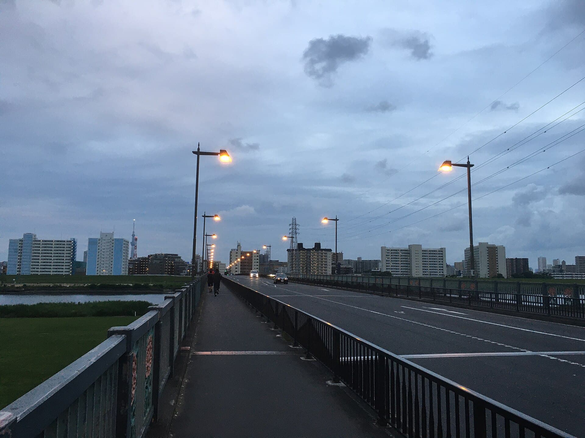 西新井桥：西新井桥：Wikimedia Commons 文件「Nishiarai-Bashi bridge in Tokyo, May 31 2020 2.jpg」中的桥梁实景。