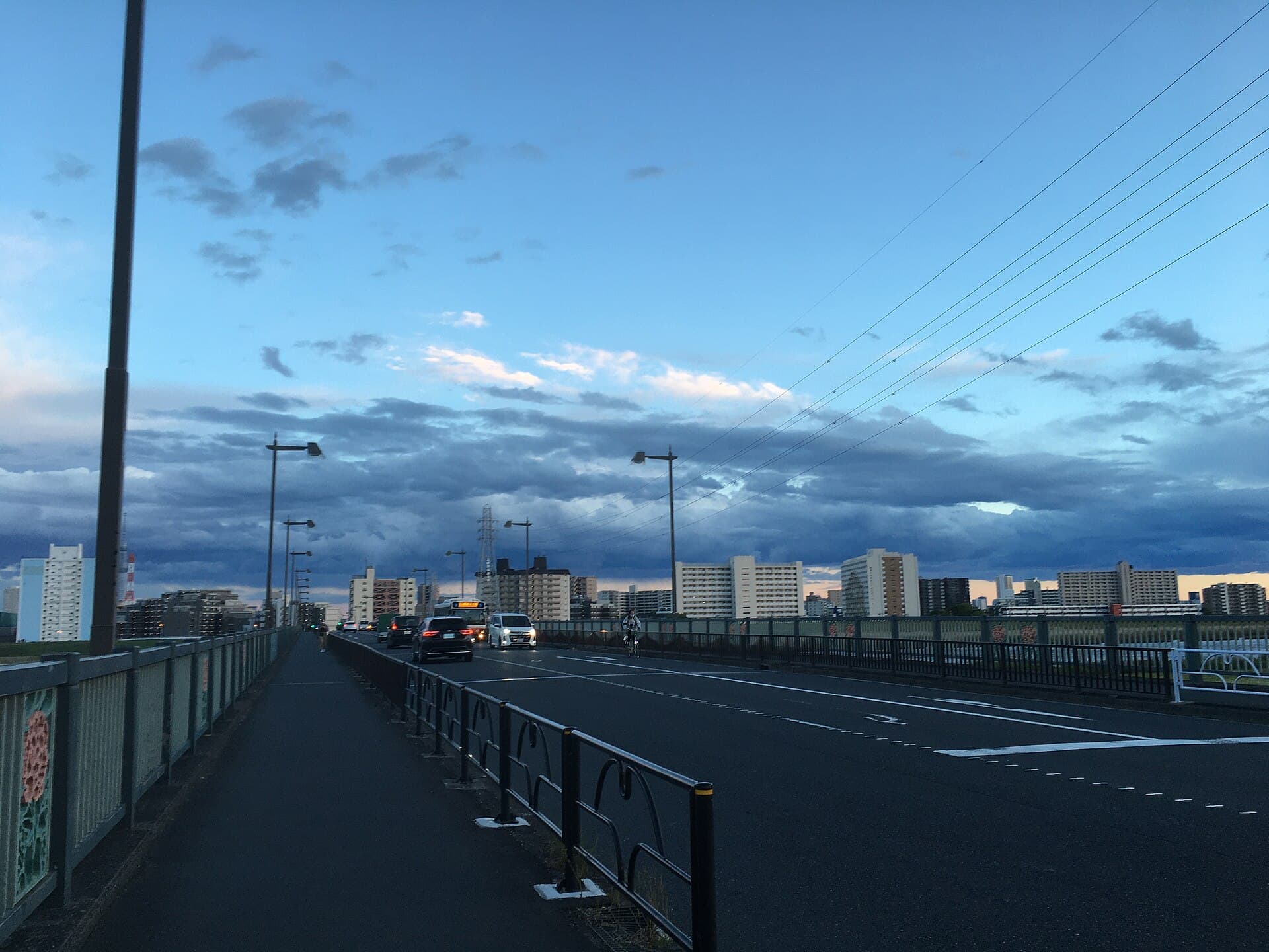 西新井桥：西新井桥：Wikimedia Commons 文件「Nishiaraibashi May 2 2021 night.jpeg」中的桥梁实景。