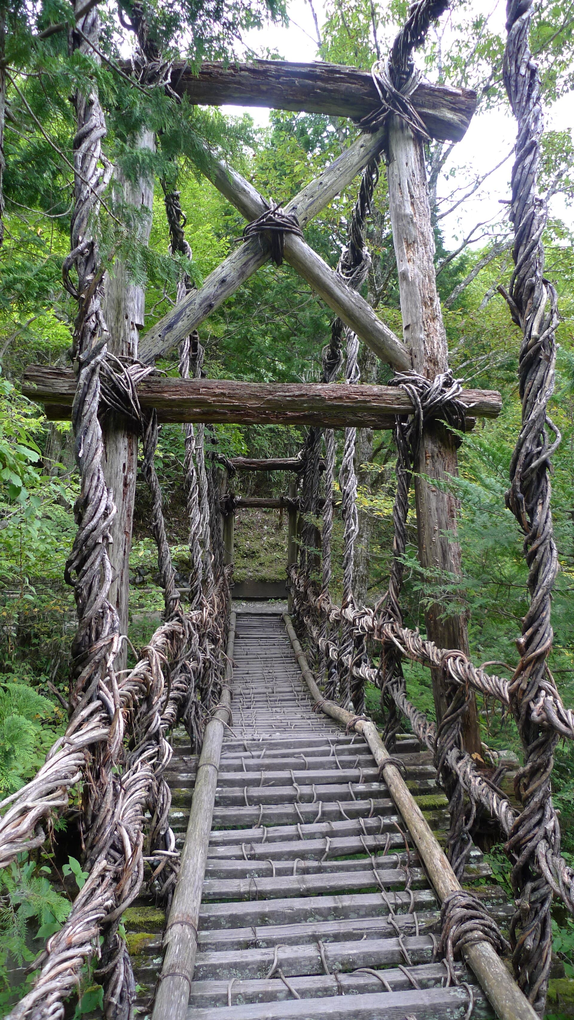 奥祖谷二重蔓桥：奥祖谷二重蔓桥：Wikimedia Commons 文件「Okuiya double waddle bridge 02.jpg」中的桥梁实景。