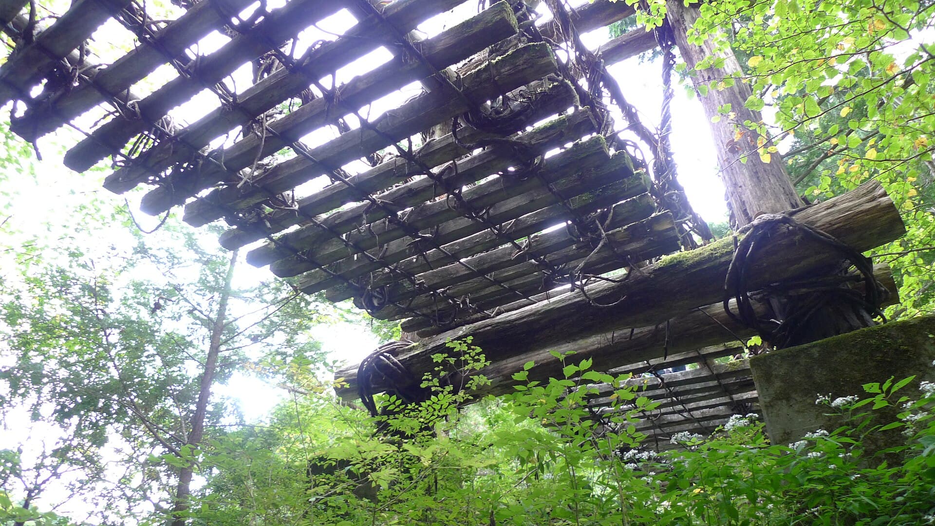 奥祖谷二重蔓桥：奥祖谷二重蔓桥：Wikimedia Commons 文件「Okuiya double waddle bridge 03.jpg」中的桥梁实景。