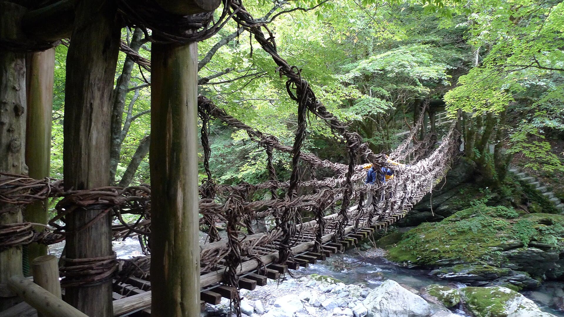 奥祖谷二重蔓桥：奥祖谷二重蔓桥：Wikimedia Commons 文件「Okuiya double waddle bridge 04.jpg」中的桥梁实景。
