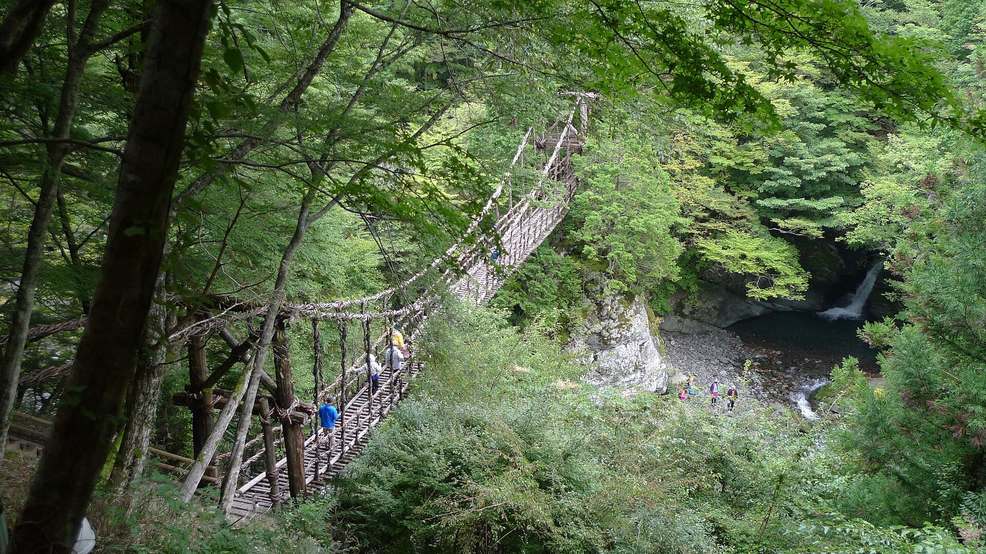 奥祖谷二重蔓桥：奥祖谷二重蔓桥：Wikimedia Commons 文件「Okuiya double waddle bridge 05.jpg」中的桥梁实景。