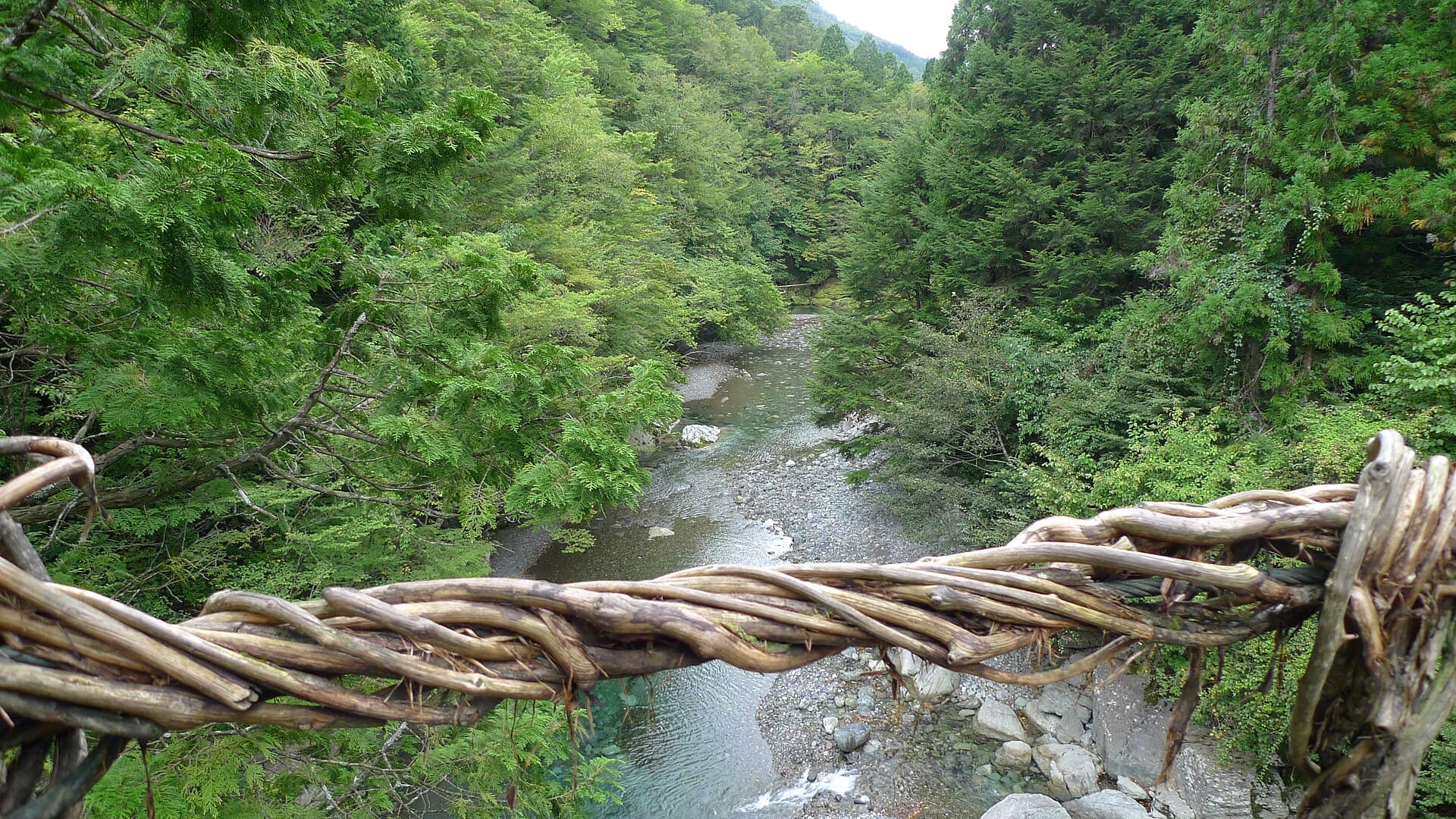 奥祖谷二重蔓桥：奥祖谷二重蔓桥：Wikimedia Commons 文件「Okuiya double waddle bridge 08.jpg」中的桥梁实景。