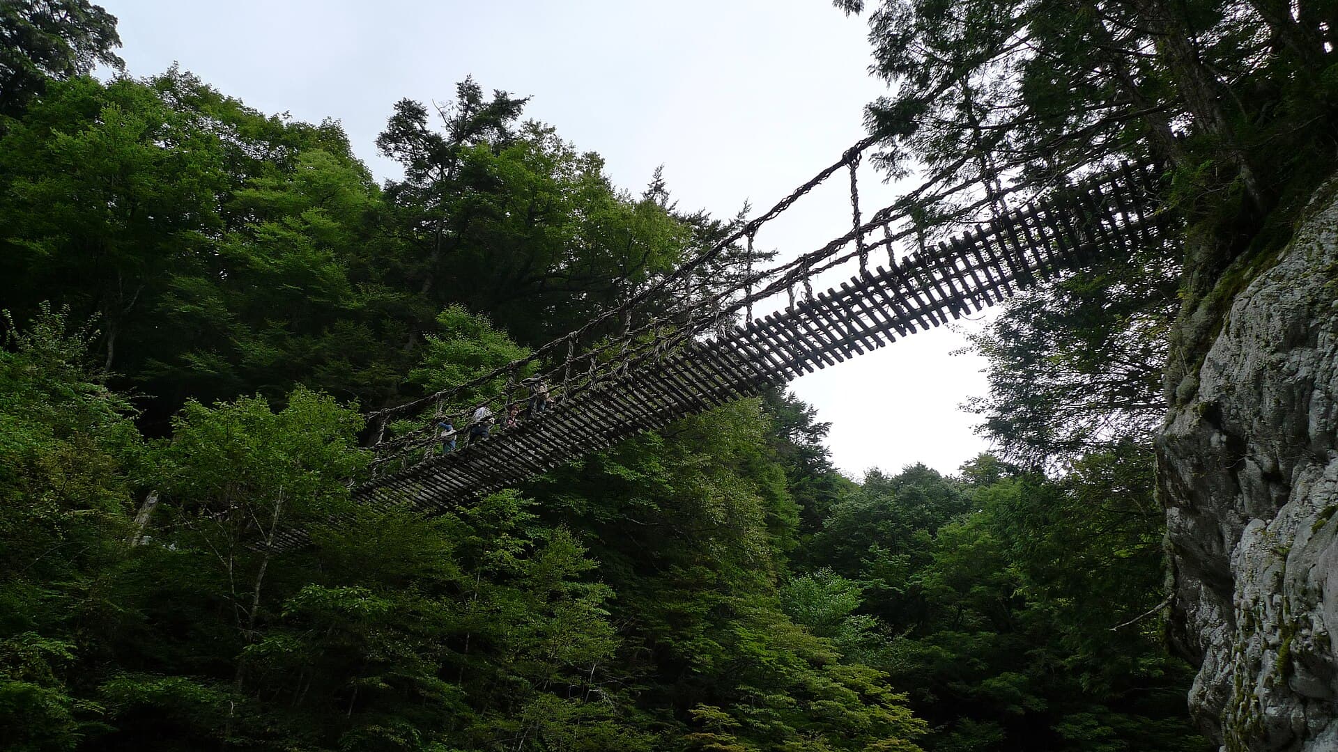 奥祖谷二重蔓桥：奥祖谷二重蔓桥：Wikimedia Commons 文件「Okuiya double waddle bridge 10.jpg」中的桥梁实景。