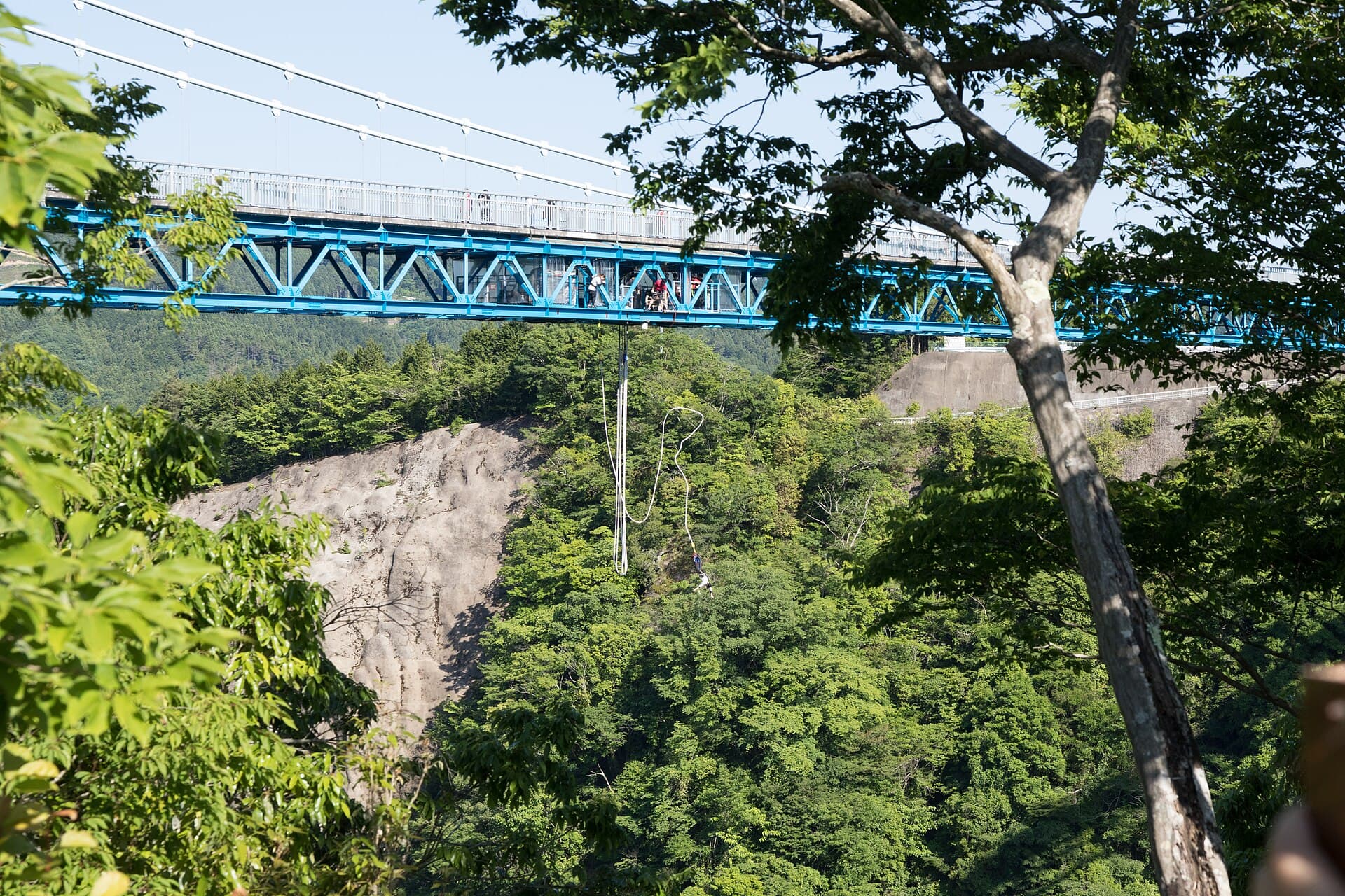 龙神大吊桥：龙神大吊桥：Wikimedia Commons 文件「Ryujin Bridge 05.jpg」中的桥梁实景。