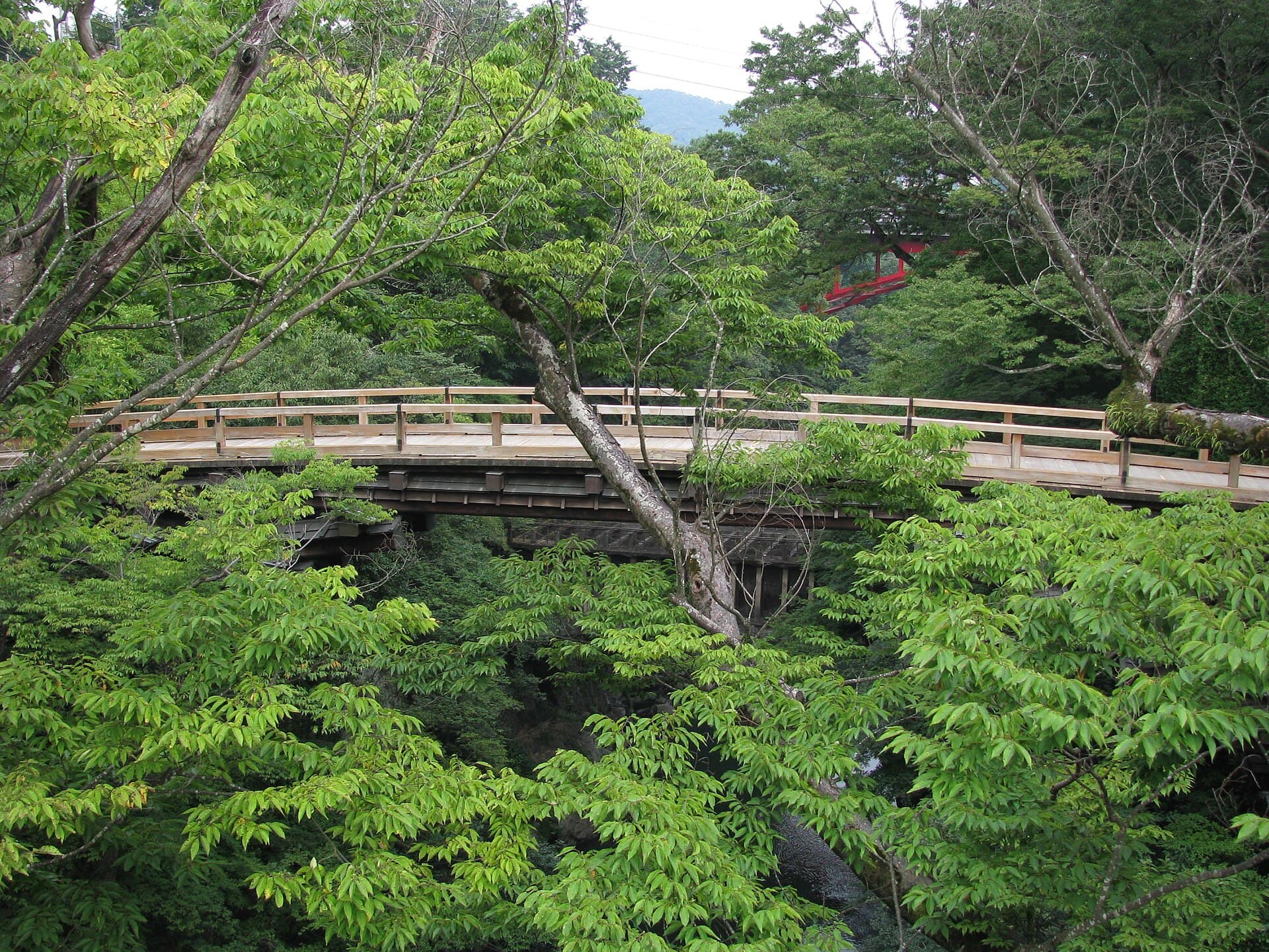 猿桥：猿桥：Wikimedia Commons 文件「Saruhashi -05.jpg」中的桥梁实景。