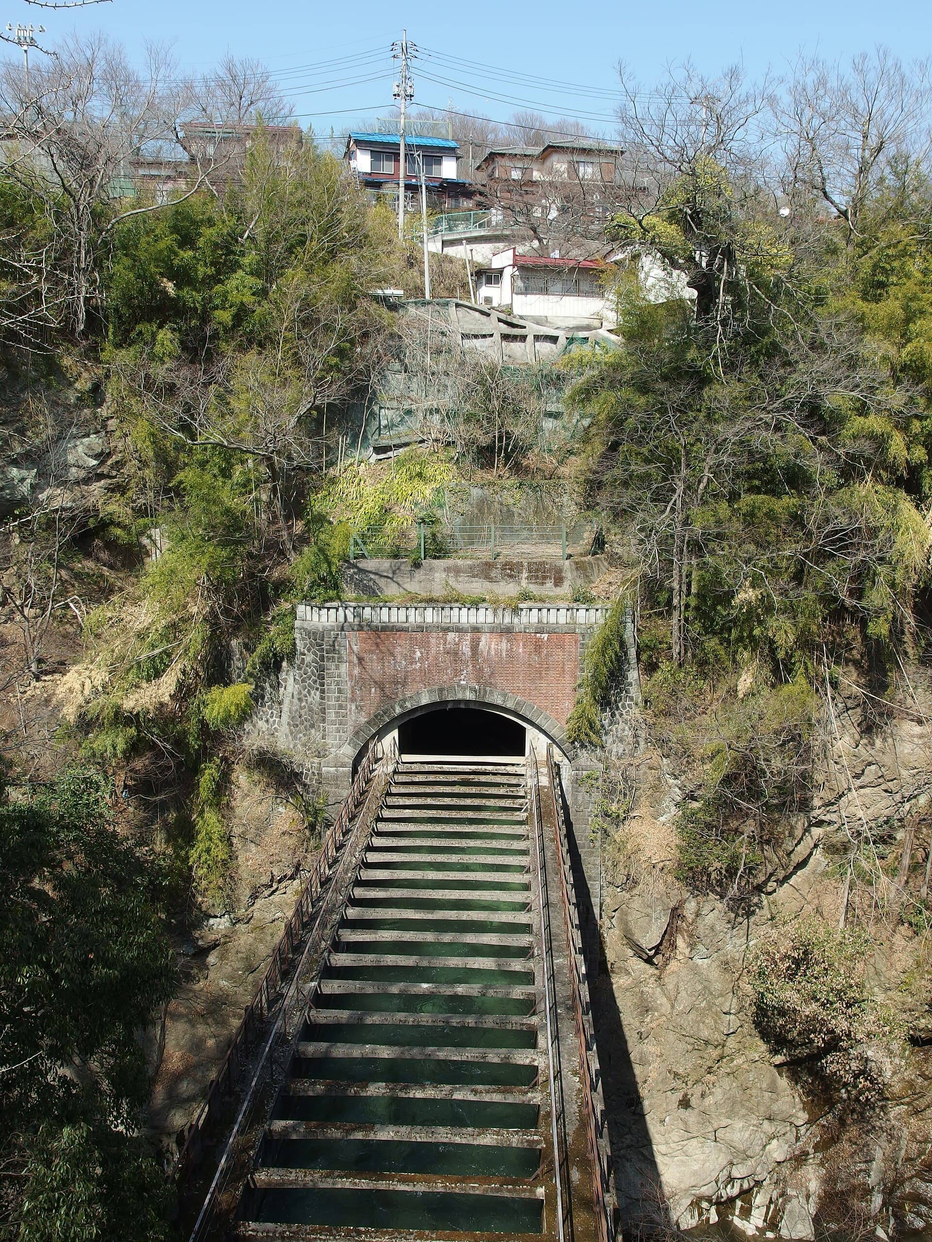 猿桥：猿桥：Wikimedia Commons 文件「Saruhashi Bridge @ Hike to Mount Ougiyama & Mount Momokurasan @ Yamanashi Prefecture (13469936154).jpg」中的桥梁实景。