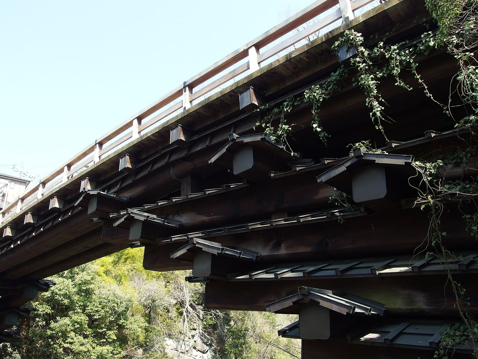 猿桥：猿桥：Wikimedia Commons 文件「Saruhashi Bridge @ Hike to Mount Ougiyama & Mount Momokurasan @ Yamanashi Prefecture (13469576555).jpg」中的桥梁实景。