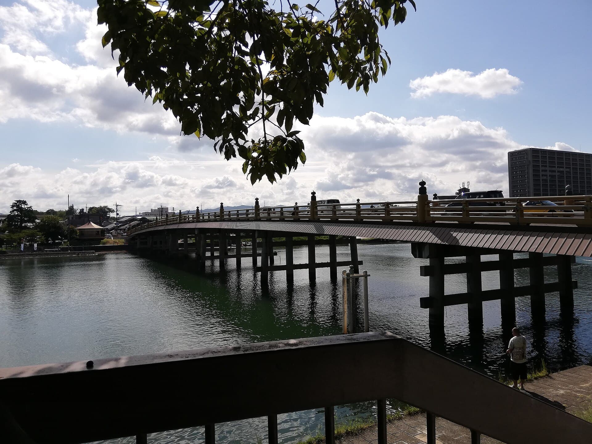 濑田唐桥：濑田唐桥：Wikimedia Commons 文件「Seta-no-Karahashi Bridge 20200919 03.jpg」中的桥梁实景。