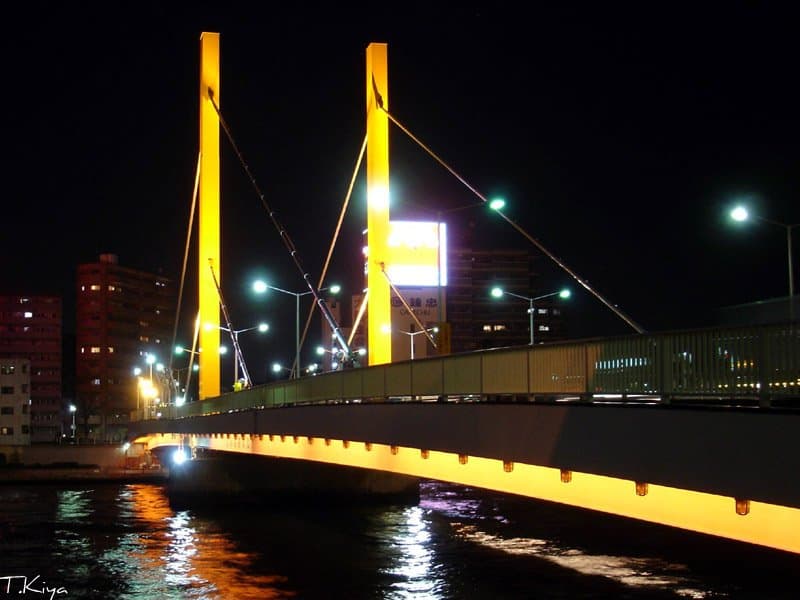 新大桥（东京）：新大桥（东京）：Wikimedia Commons 文件「Shin-Ohashi bridge on Sumida river 隅田川 新大橋 (4798558235).jpg」中的桥梁实景。