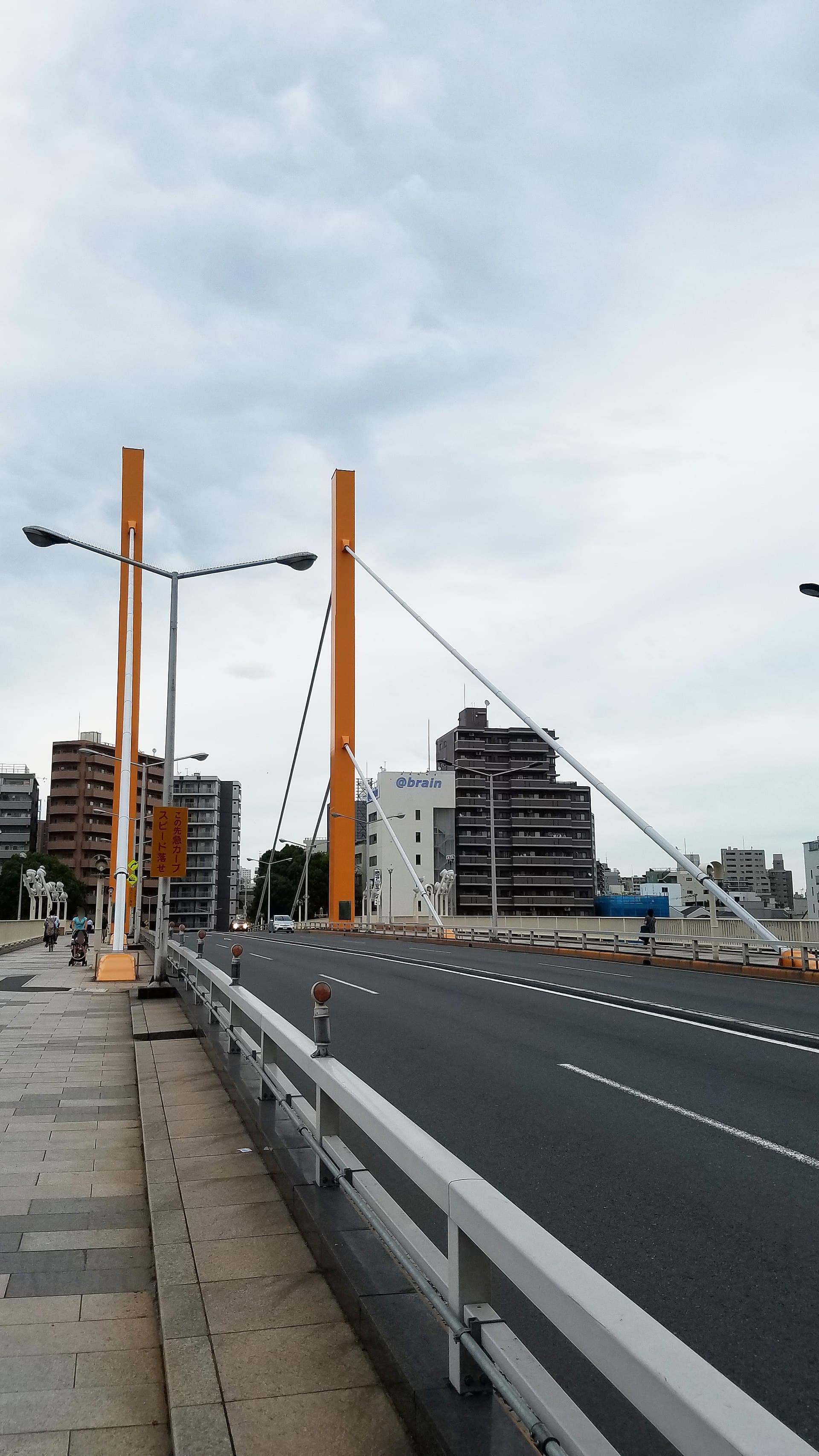 新大桥（东京）：新大桥（东京）：Wikimedia Commons 文件「Shin-ohashi bridge 20180705 173113.jpg」中的桥梁实景。