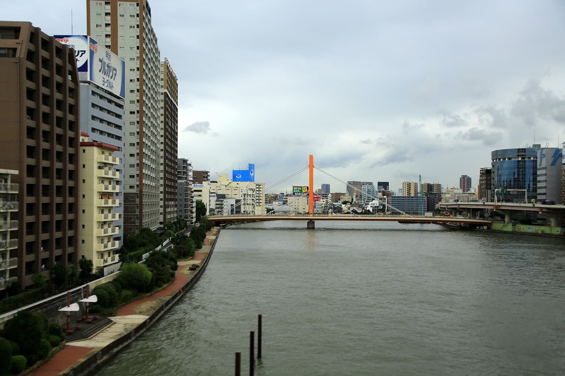 新大桥（东京）：新大桥（东京）：Wikimedia Commons 文件「20160830 OdaibaFwy 6687 (29998737905).jpg」中的桥梁实景。